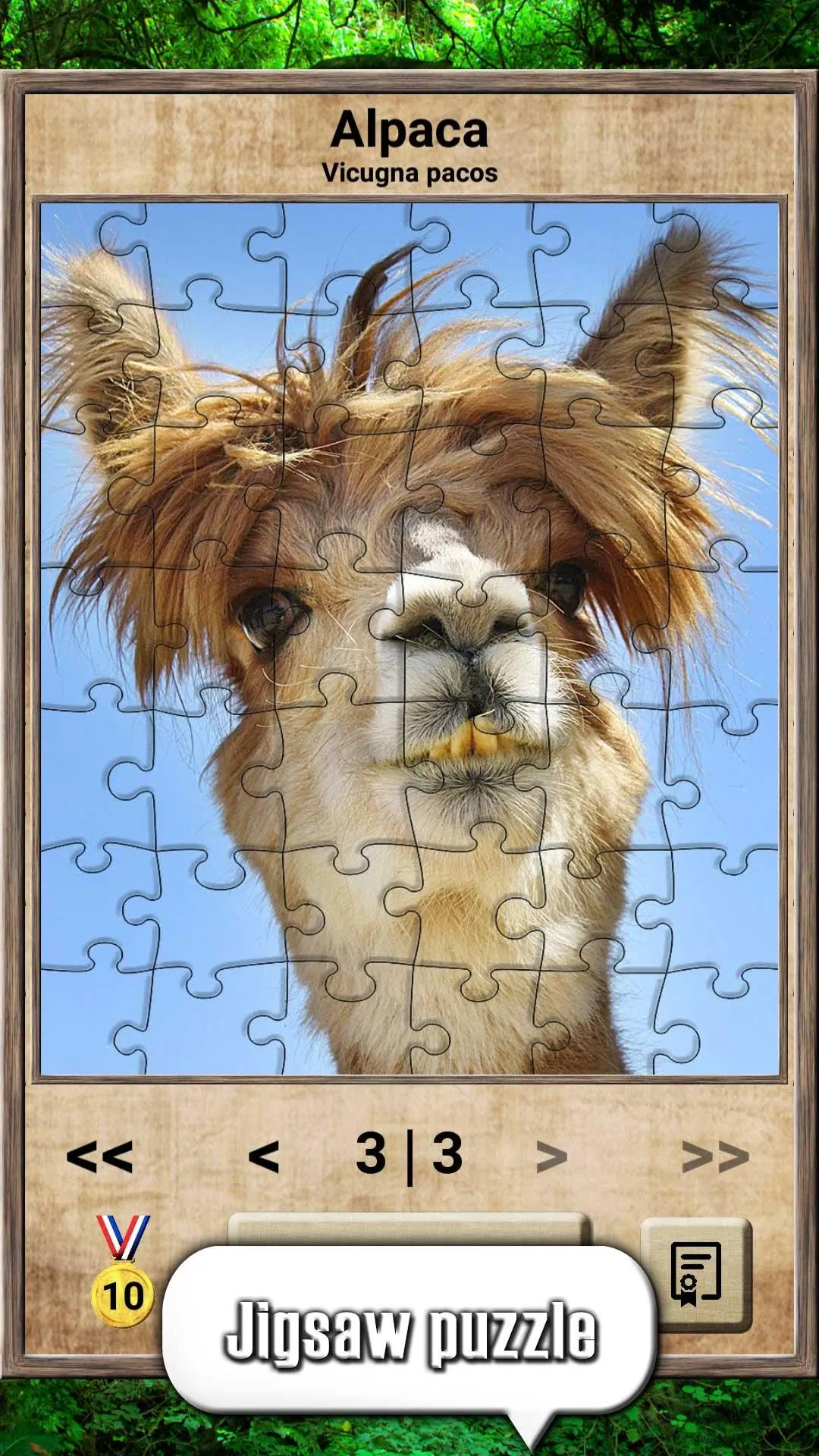Animal Kingdom - Quiz Game | Indus Appstore | Screenshot