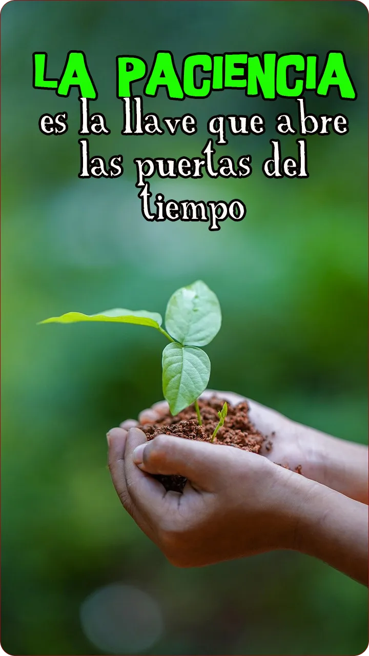 Imagenes de frases sabias | Indus Appstore | Screenshot