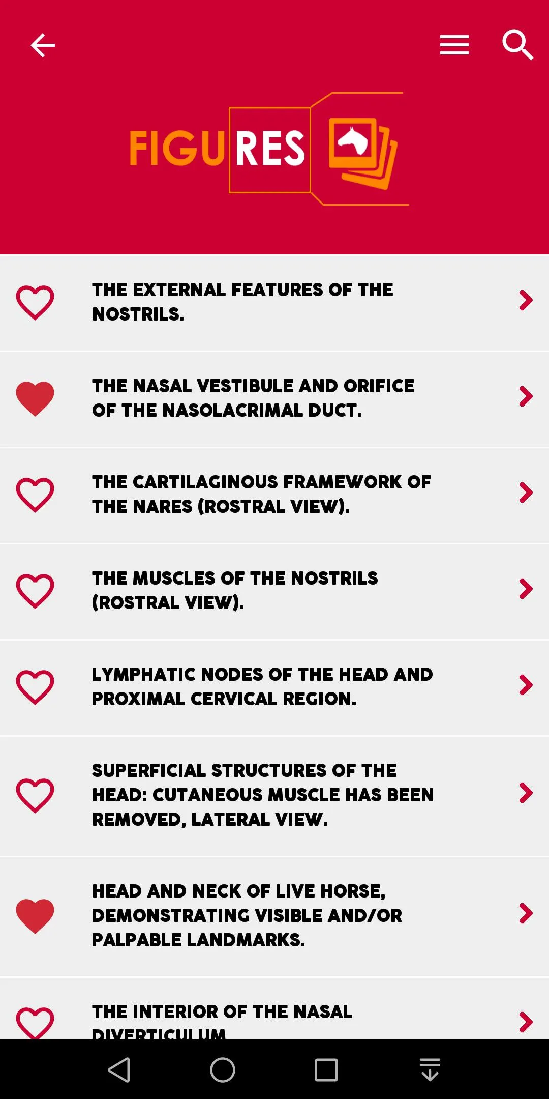 Equine Upper Respiratory Tract | Indus Appstore | Screenshot