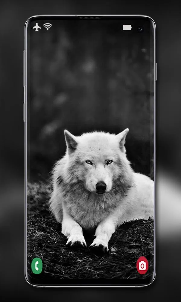 Wolf Wallpaper | Indus Appstore | Screenshot