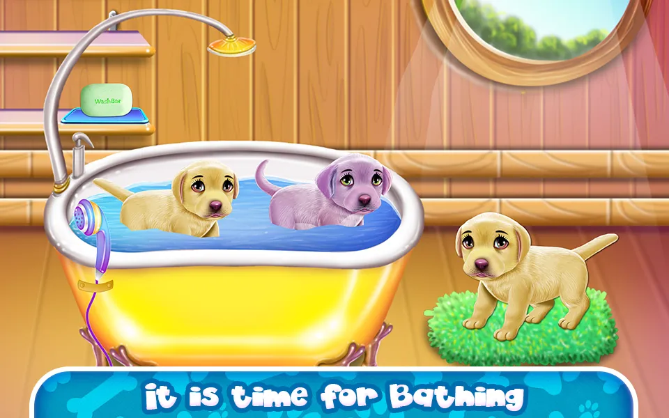 Labrador Quadruplets Caring | Indus Appstore | Screenshot