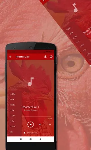 Rooster Sounds | Indus Appstore | Screenshot