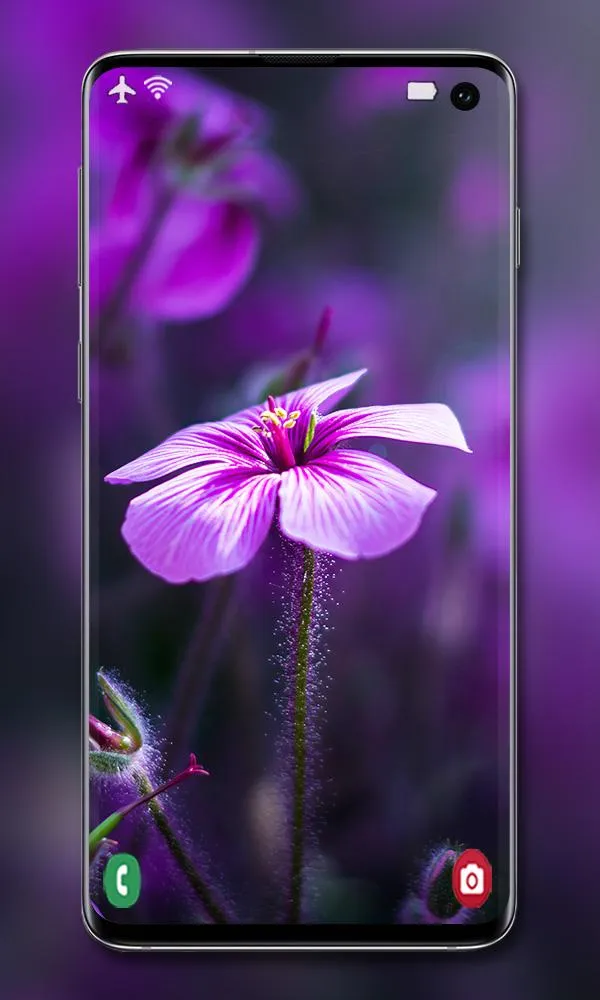 Purple Wallpaper | Indus Appstore | Screenshot