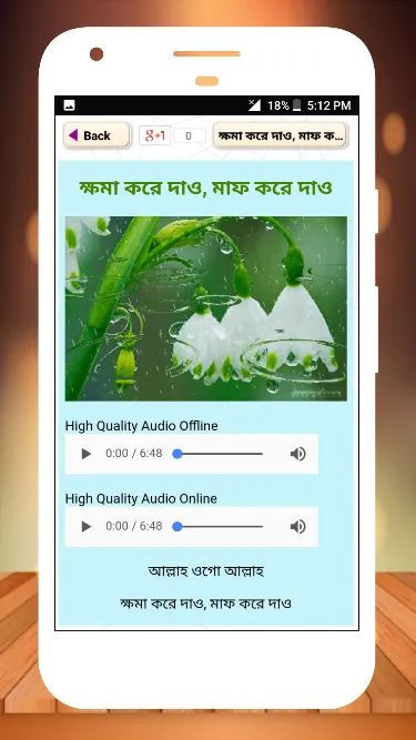 বাছাই করা গজল অডিও offline | Indus Appstore | Screenshot