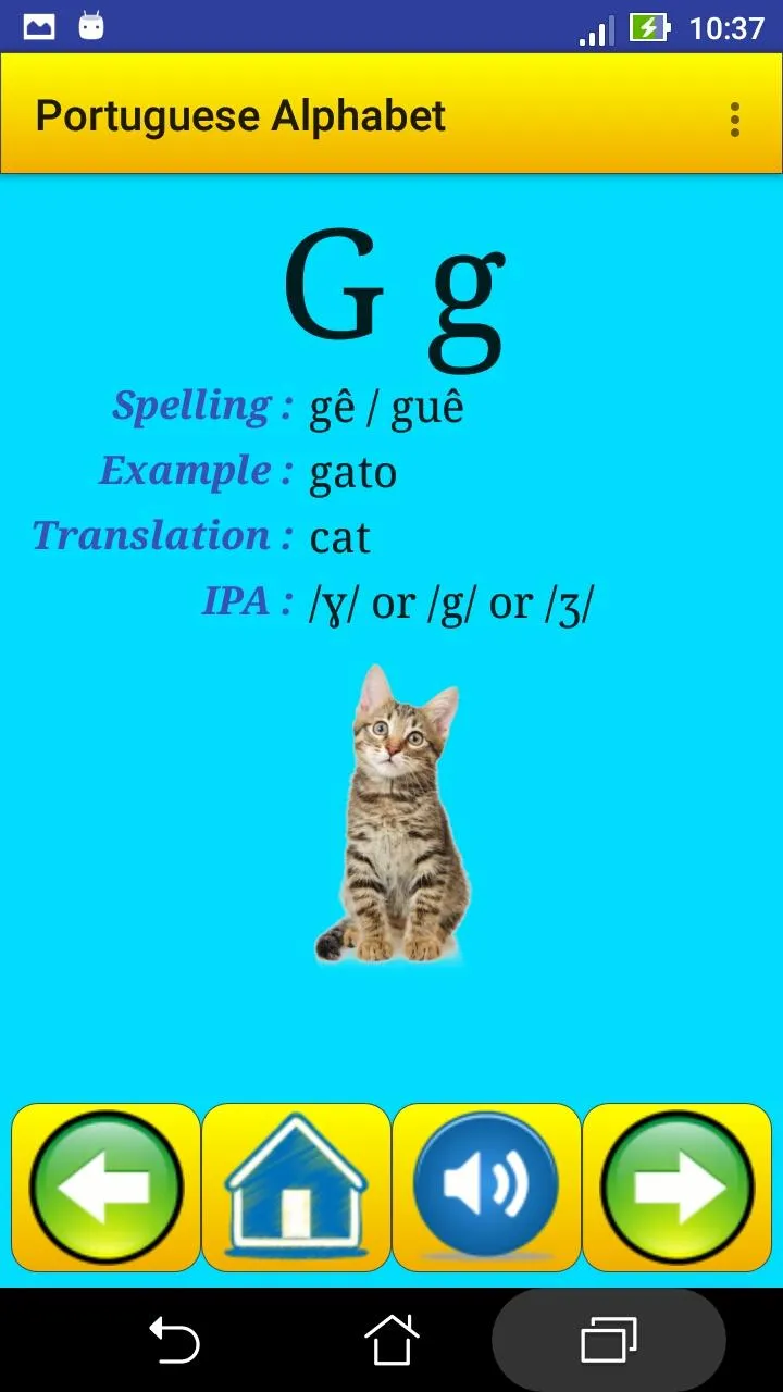 Portuguese alphabet for studen | Indus Appstore | Screenshot