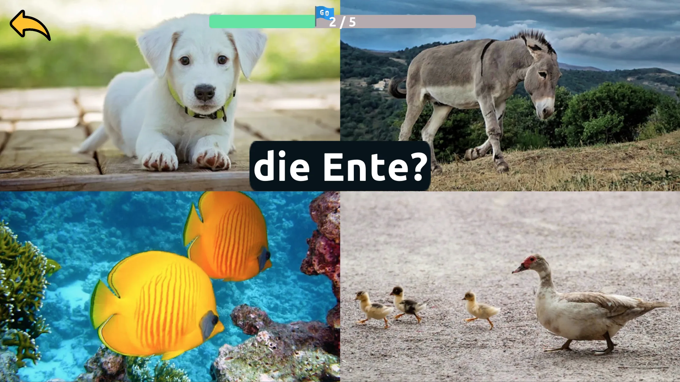 Learn Animals in German | Indus Appstore | Screenshot