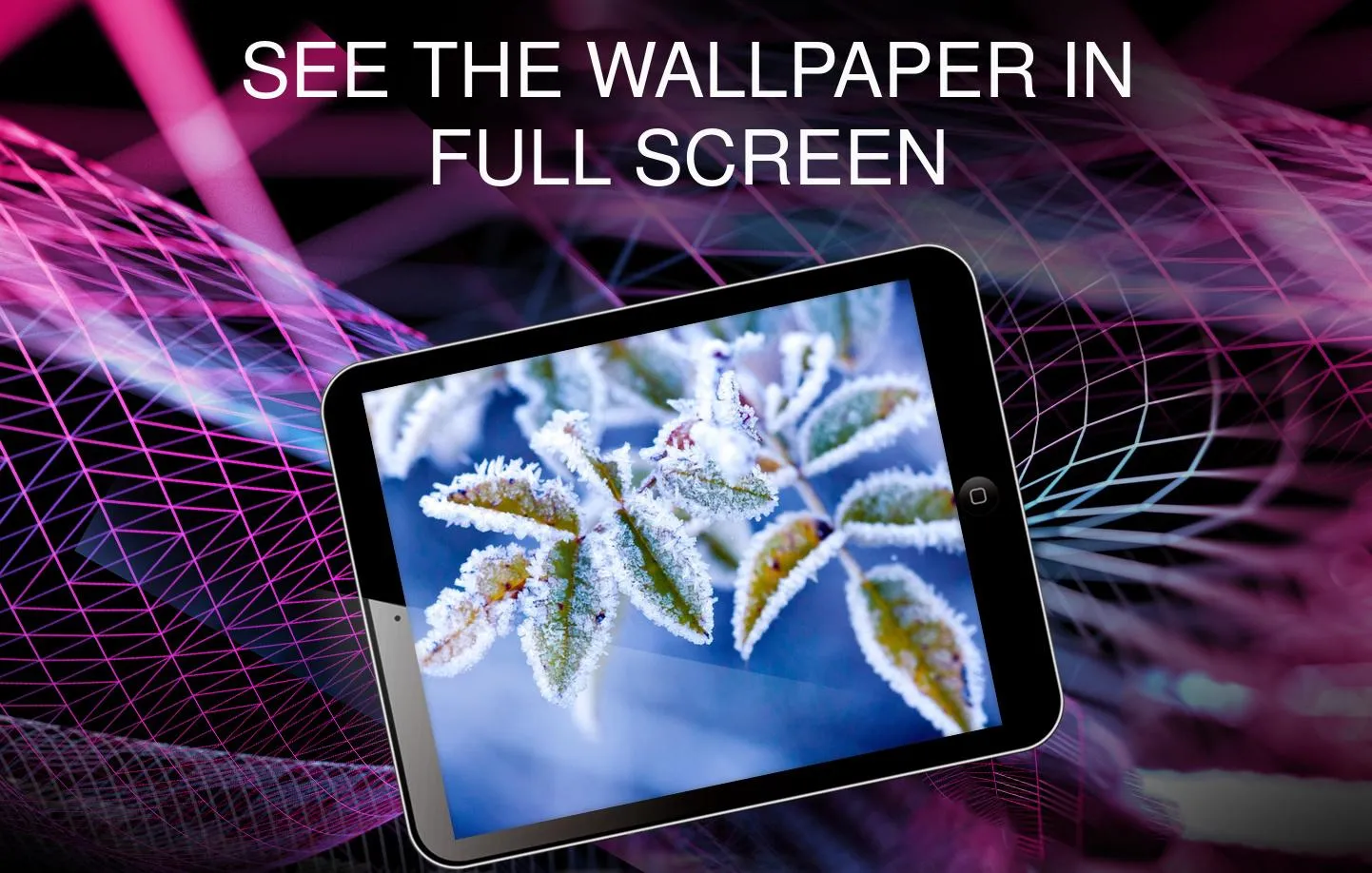 Winter wallpapers | Indus Appstore | Screenshot