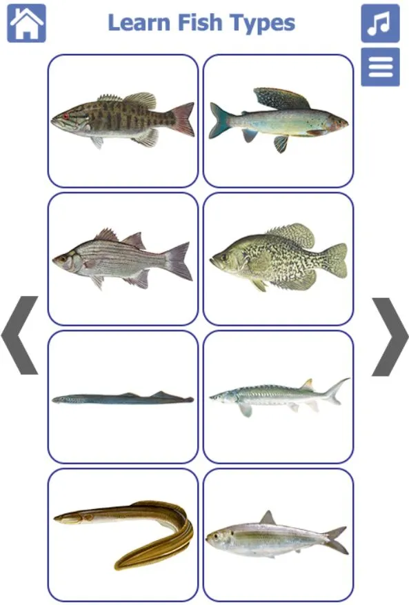 Fish Types | Goldfish Saltwate | Indus Appstore | Screenshot