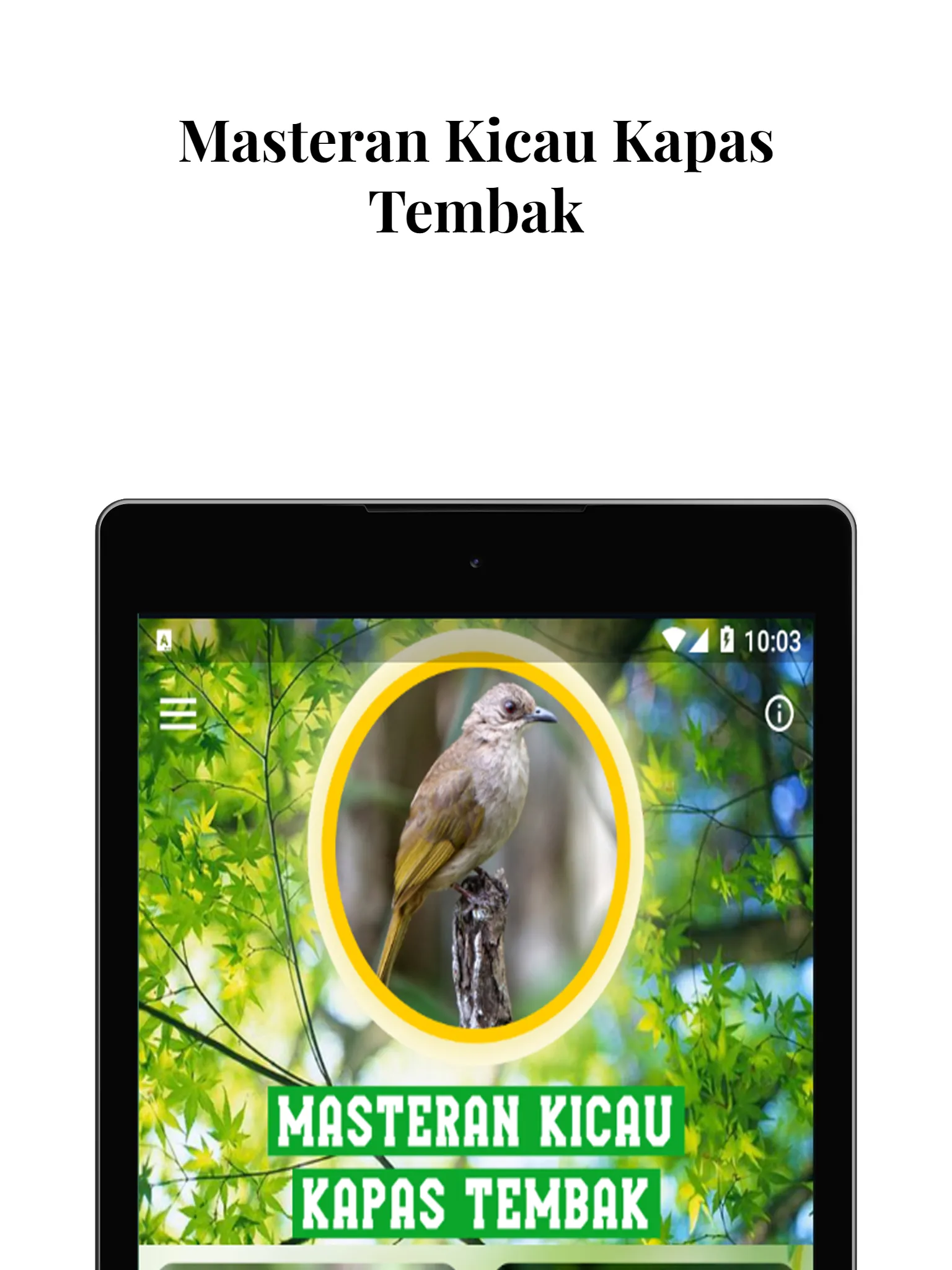 Masteran Kicau Kapas Tembak | Indus Appstore | Screenshot