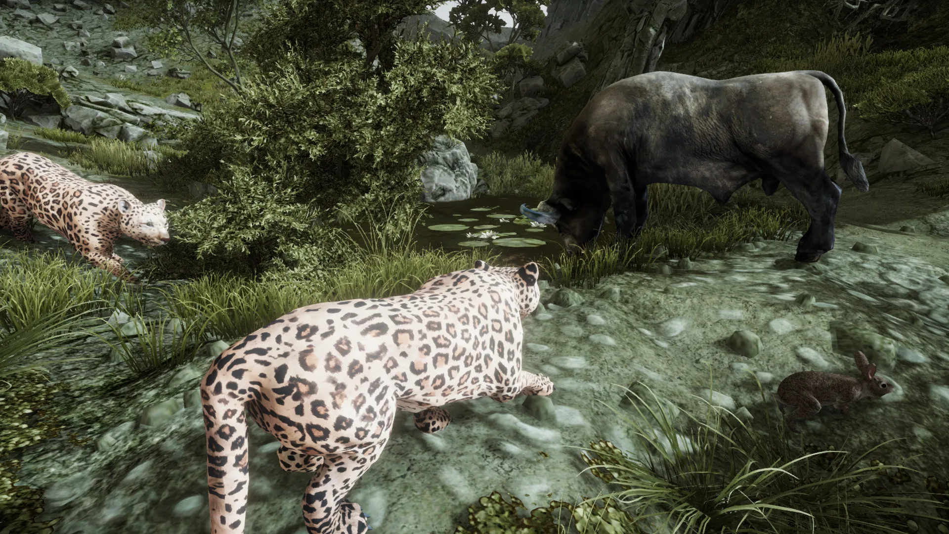 Ultimate Leopard Simulator | Indus Appstore | Screenshot