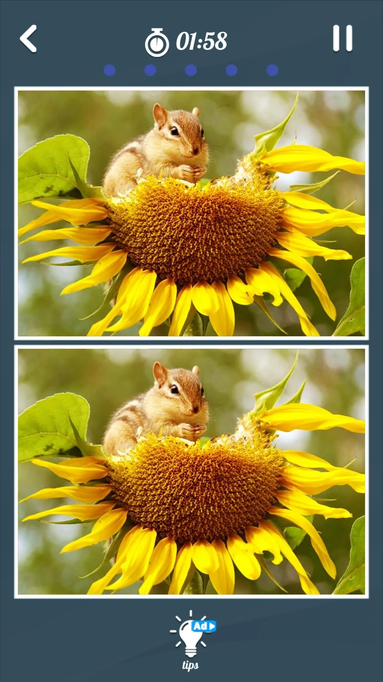 Spot The Differences 500 Photo | Indus Appstore | Screenshot