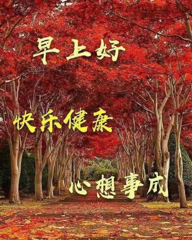 早安和晚安圖片 | Indus Appstore | Screenshot