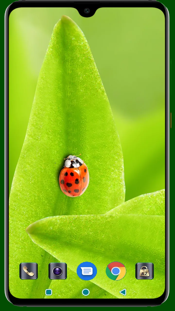 Lady Bug Wallpaper | Indus Appstore | Screenshot