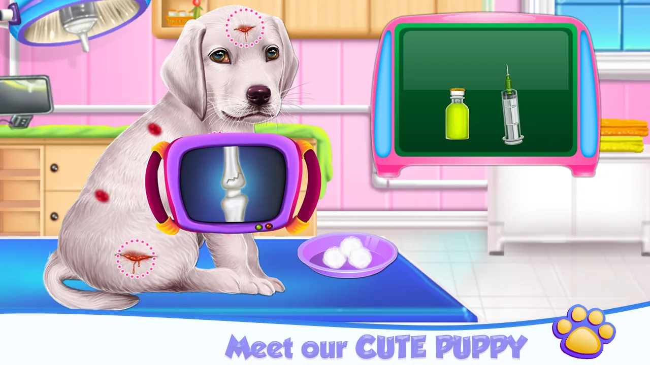 Labrador Puppy Day Care | Indus Appstore | Screenshot