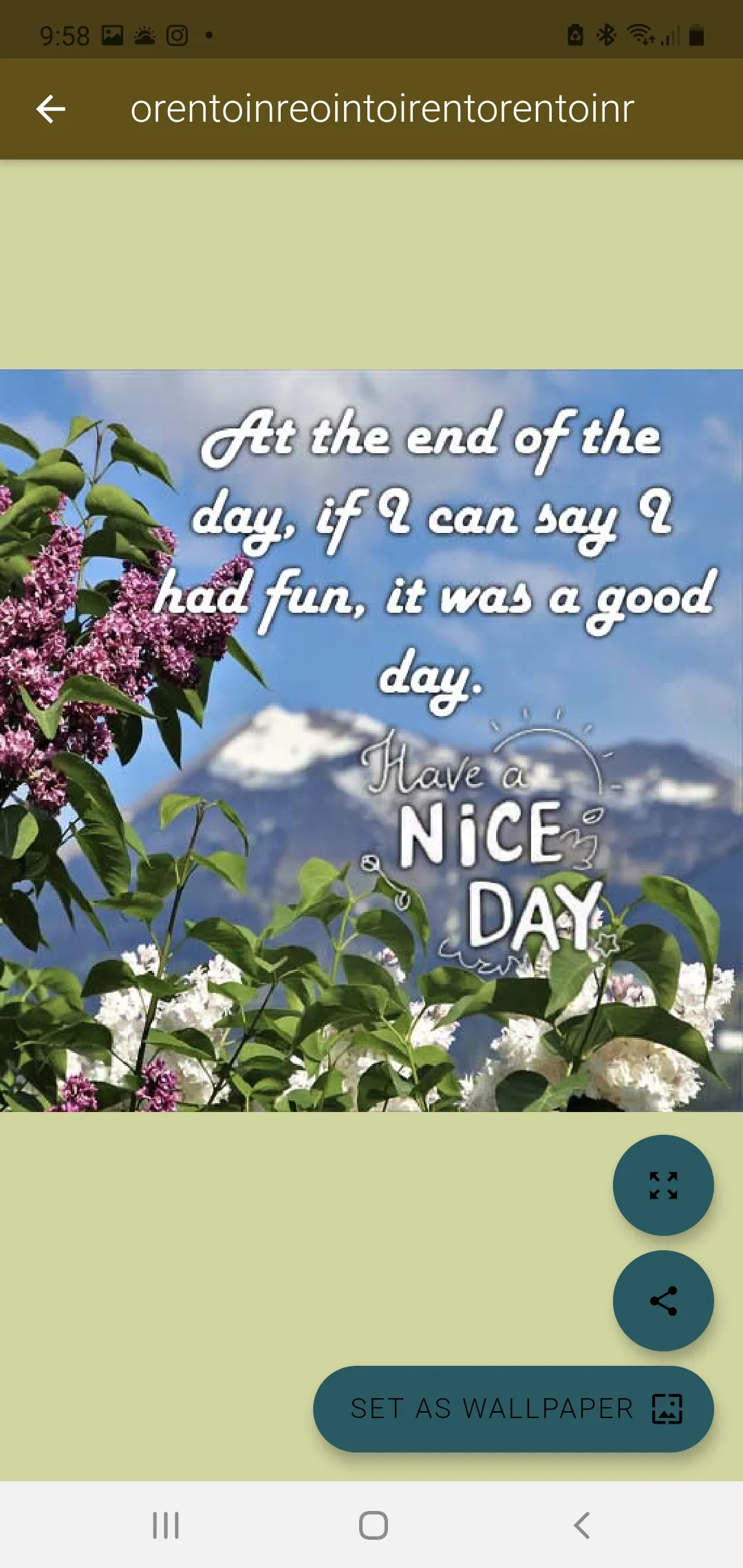 HAVE AN AMAZING AND NICE DAY | Indus Appstore | Screenshot