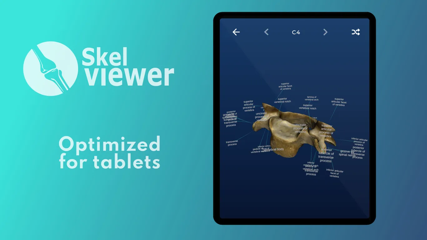 Skelviewer: 100% bone markings | Indus Appstore | Screenshot