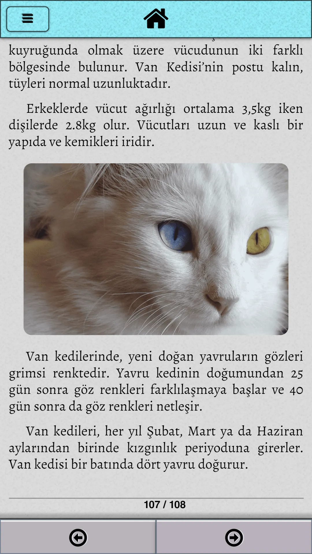 Kedi Bakımı | Indus Appstore | Screenshot