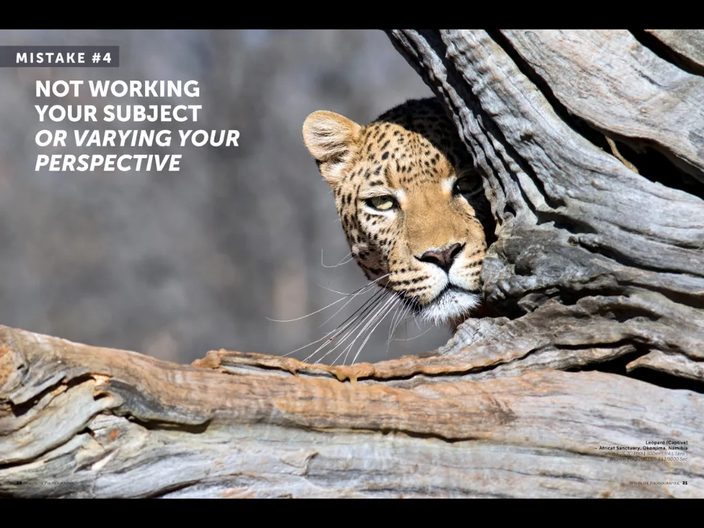 Wildlife Photographic Magazine | Indus Appstore | Screenshot