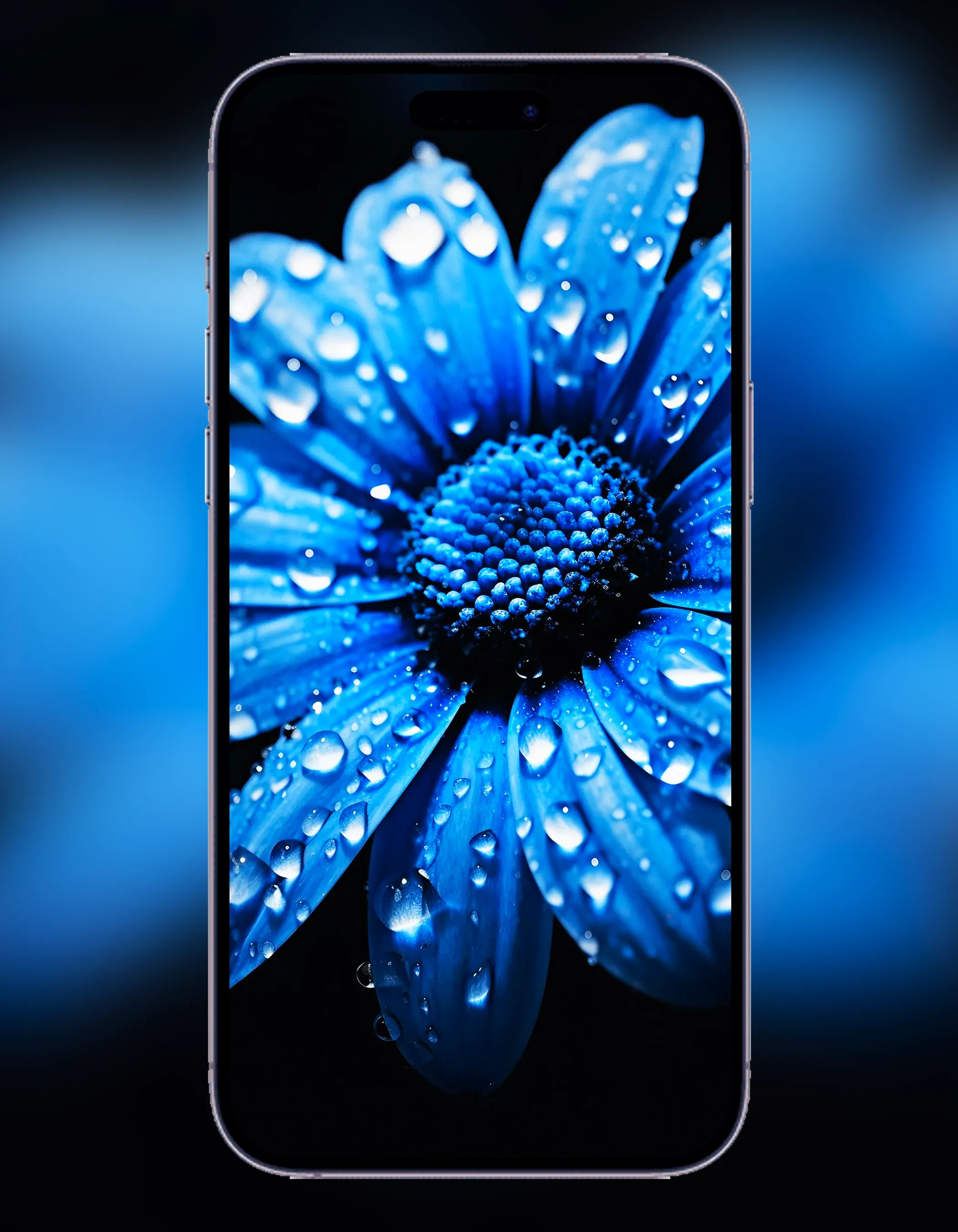 iPhone 14 Pro Max Wallpaper | Indus Appstore | Screenshot