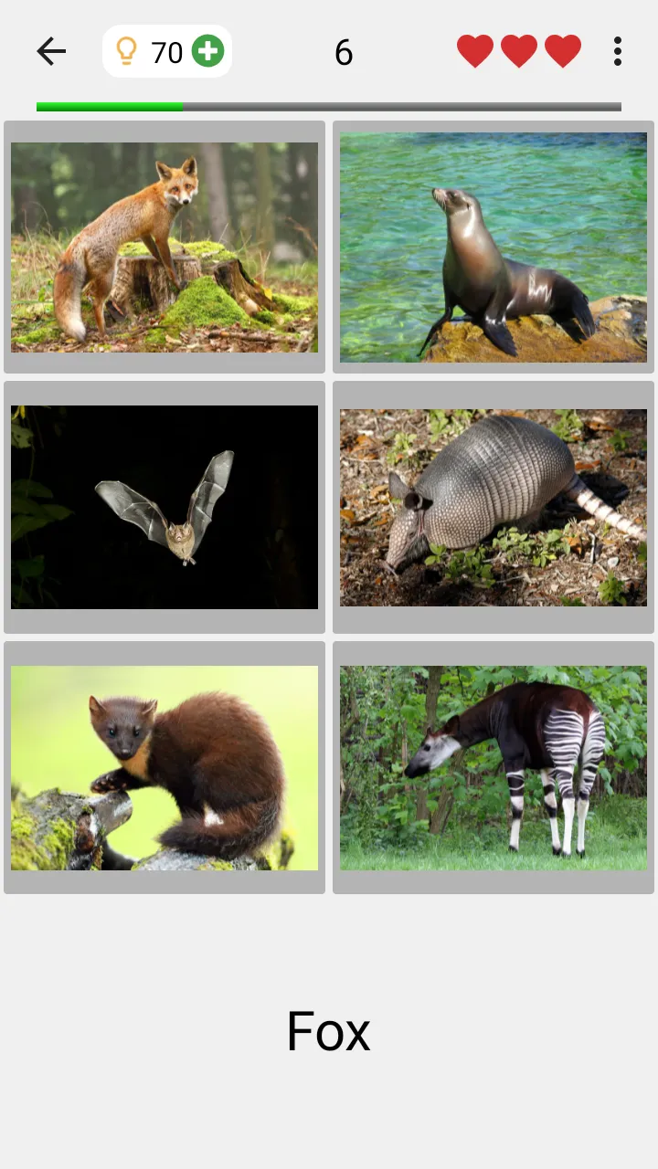 Animals Quiz Learn All Mammals | Indus Appstore | Screenshot