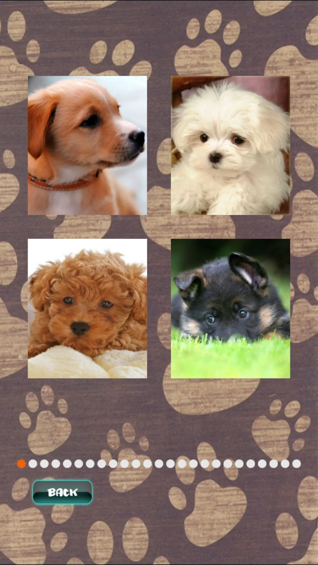 Cute Puppies Puzzle | Indus Appstore | Screenshot