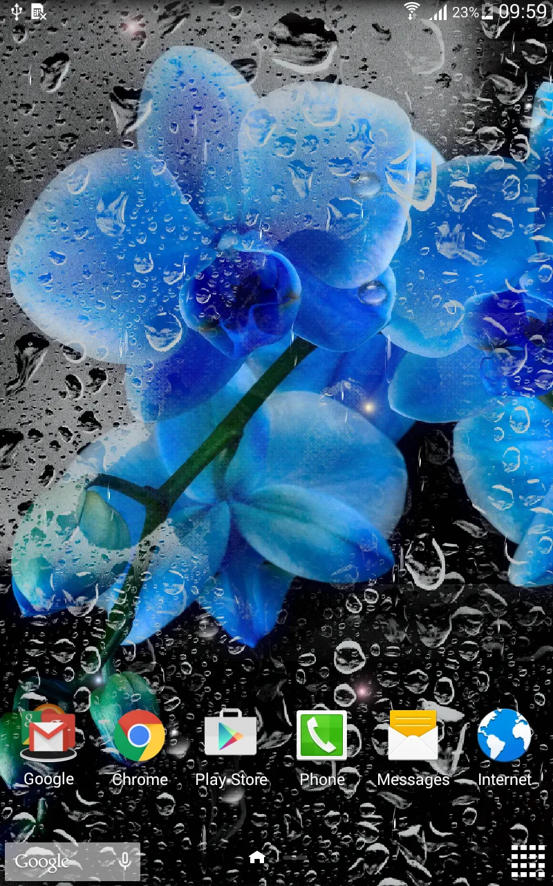 Rainy Flowers Live Wallpaper | Indus Appstore | Screenshot