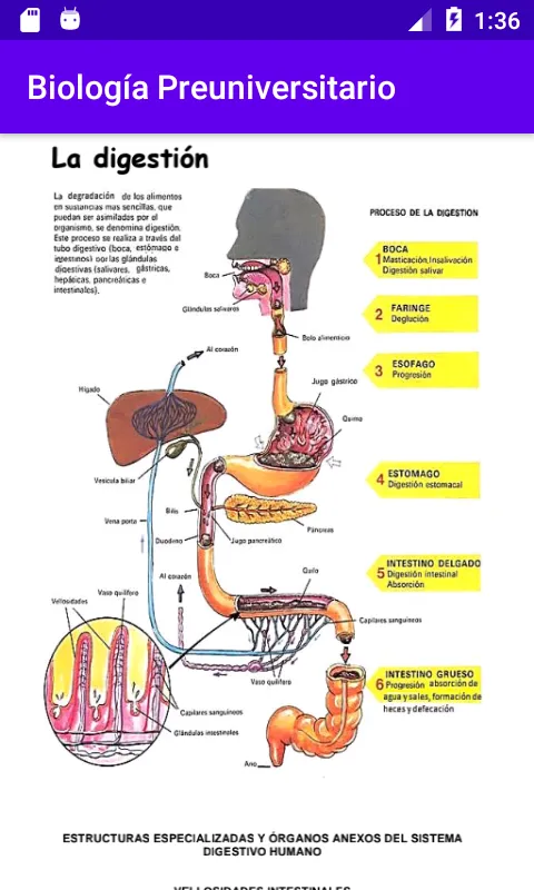 Biología Preuniversitario Grat | Indus Appstore | Screenshot