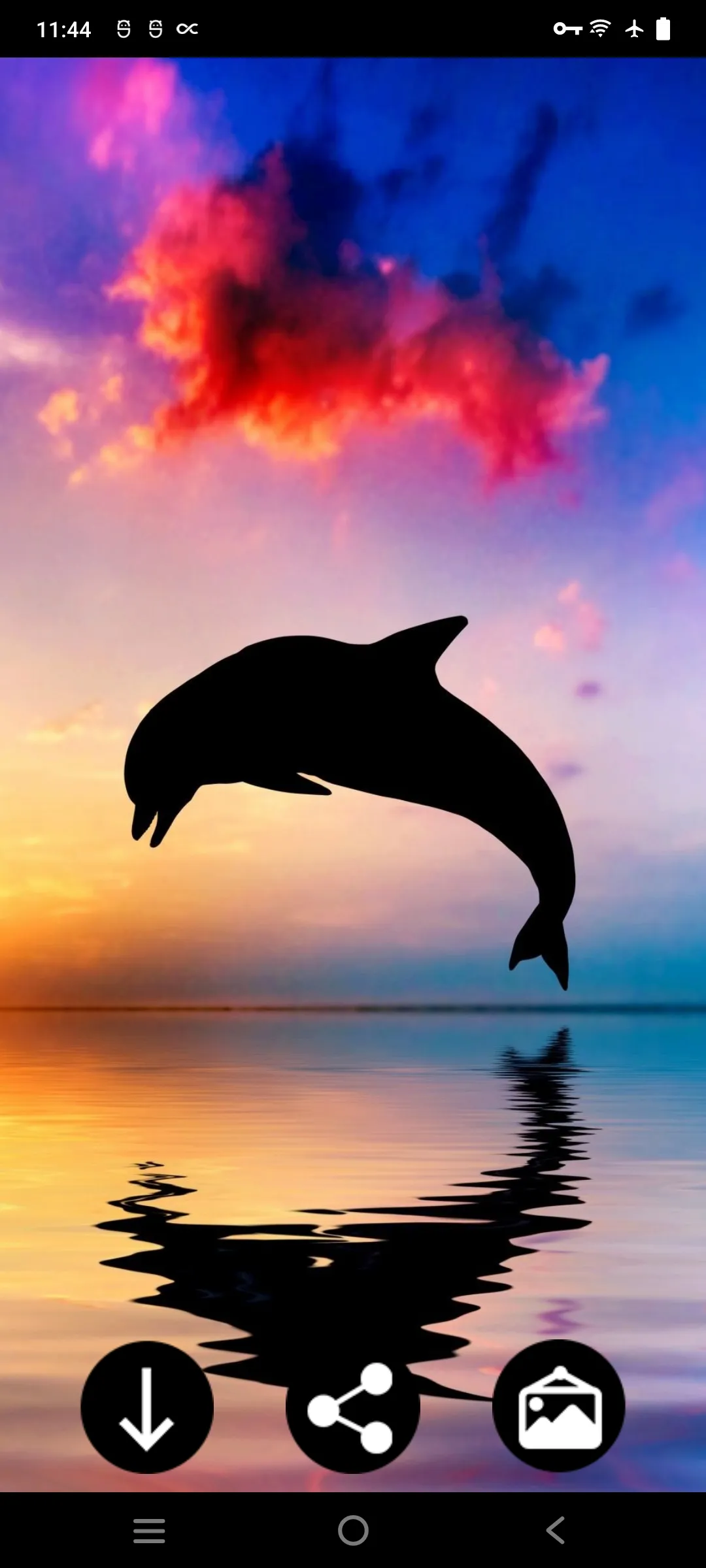 Dolphin Wallpapers | Indus Appstore | Screenshot