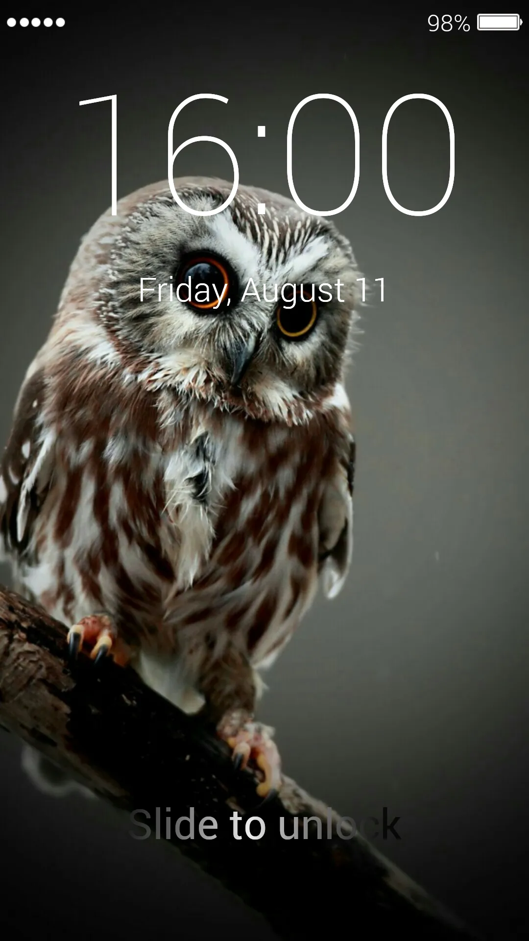 Owl Lock Screen & Wallpapers | Indus Appstore | Screenshot