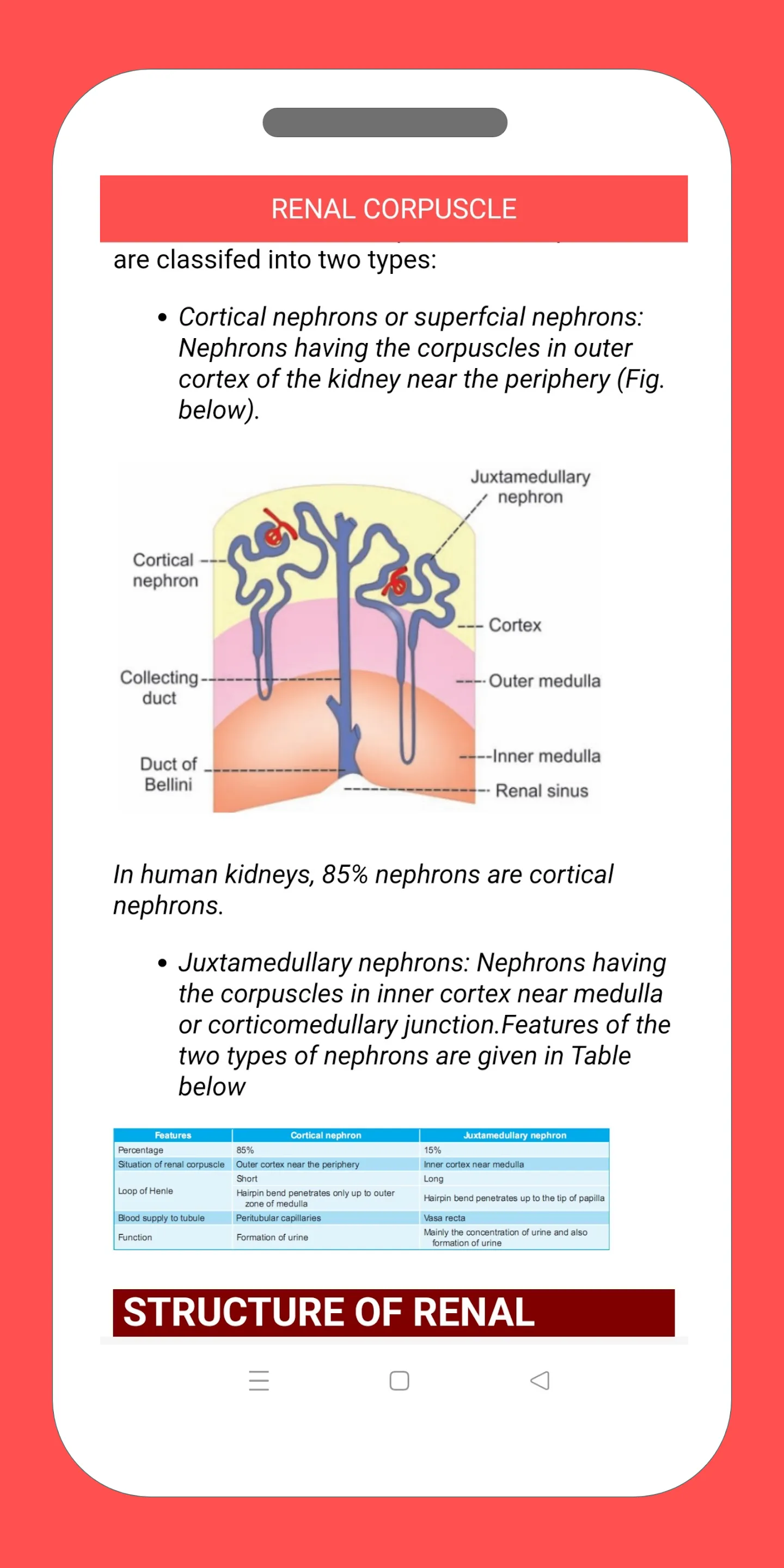 Renal  and Skin Physiology | Indus Appstore | Screenshot