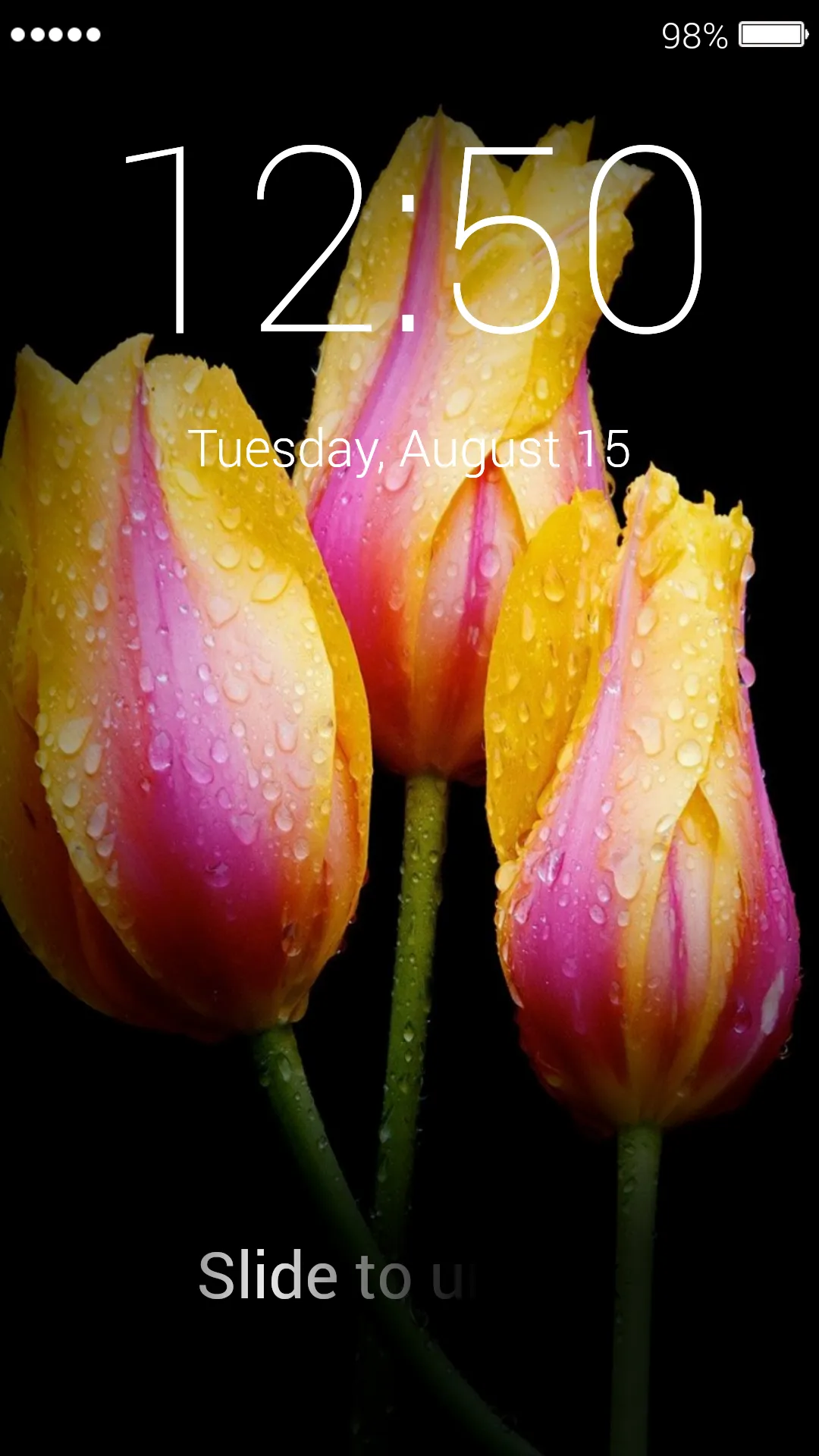 Tulips Lock Screen | Indus Appstore | Screenshot