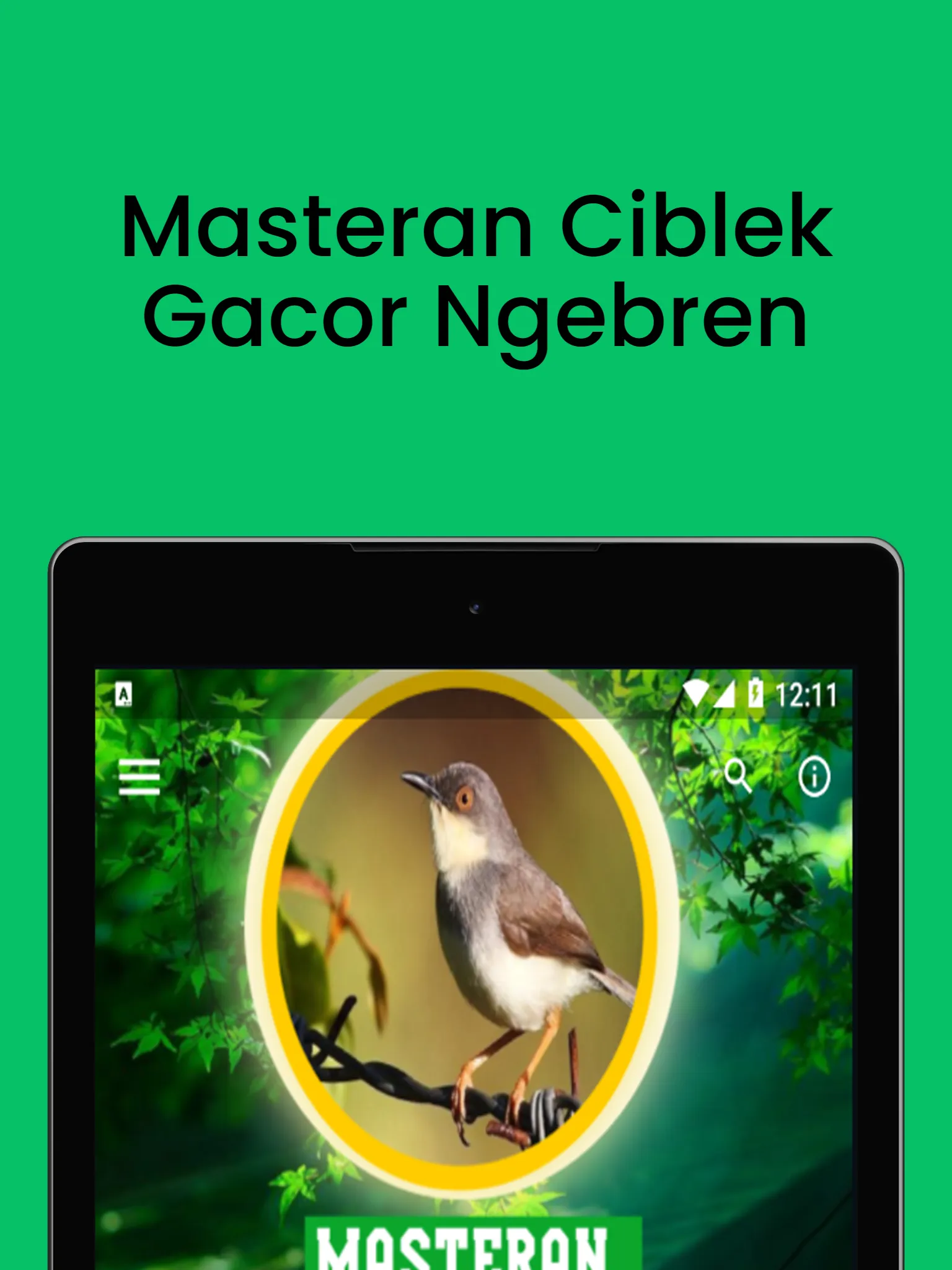 Masteran Ciblek Gacor Ngebren | Indus Appstore | Screenshot