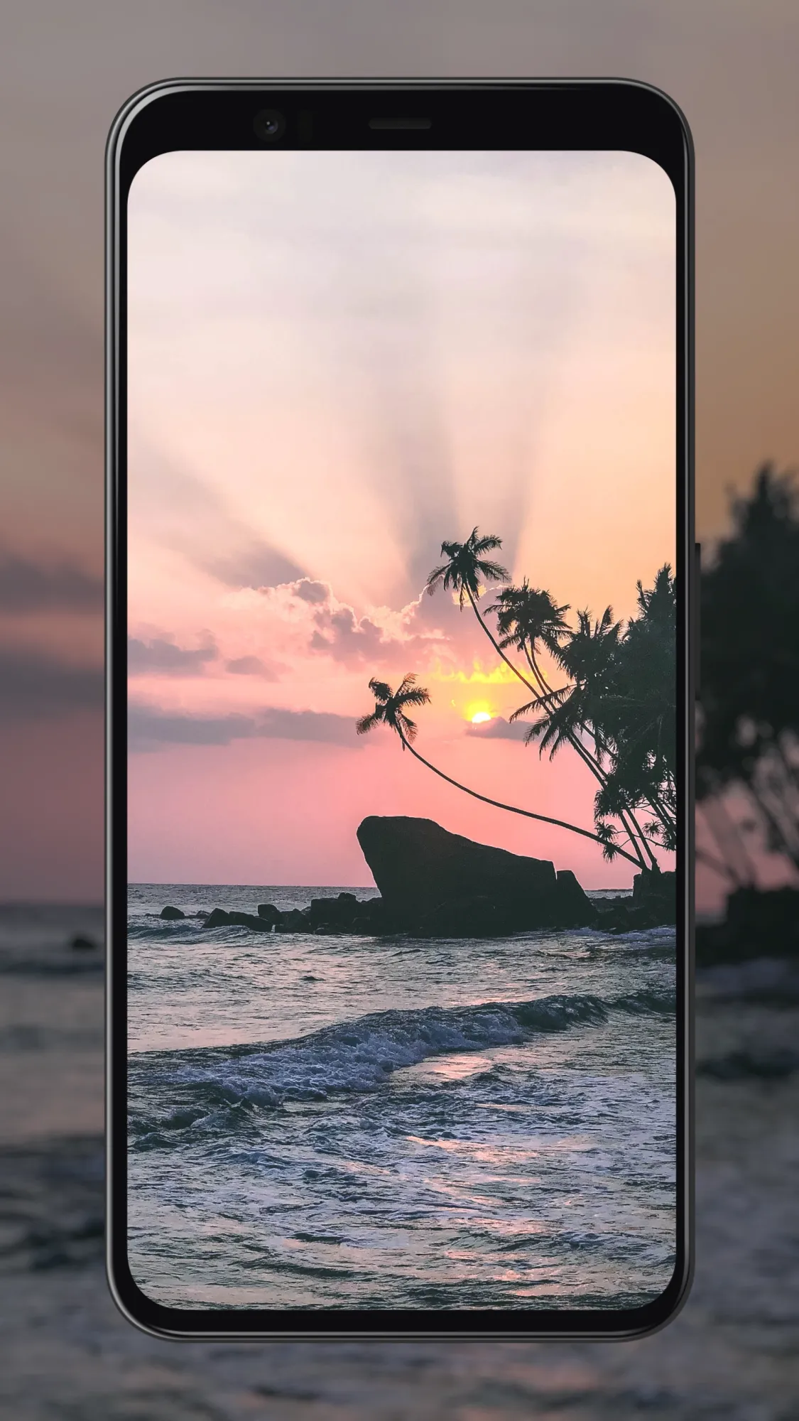 Paradise Wallpapers | Indus Appstore | Screenshot