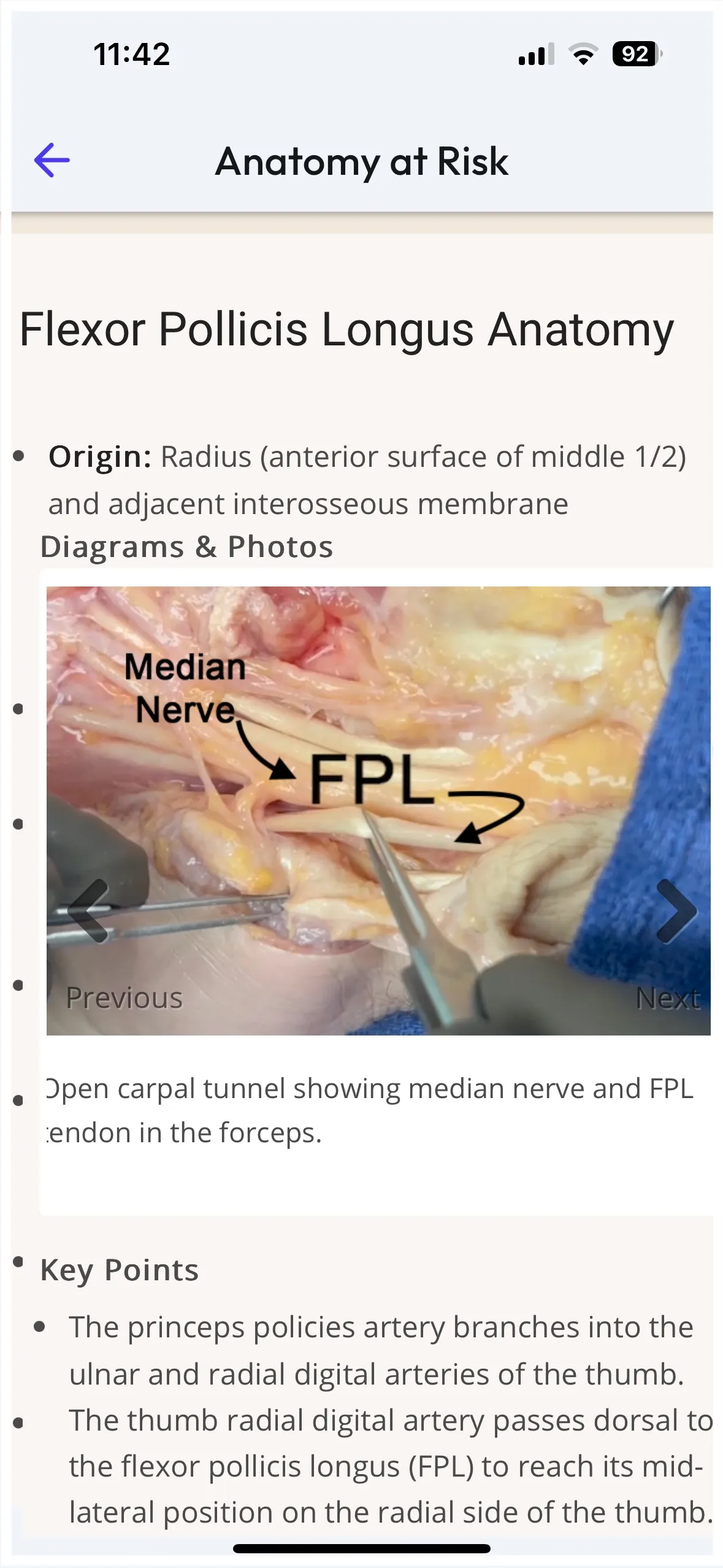Anatomy at Risk | Indus Appstore | Screenshot