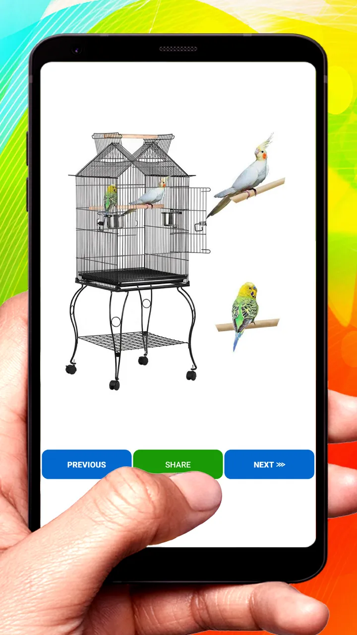 Bird cage design ( offline ) | Indus Appstore | Screenshot