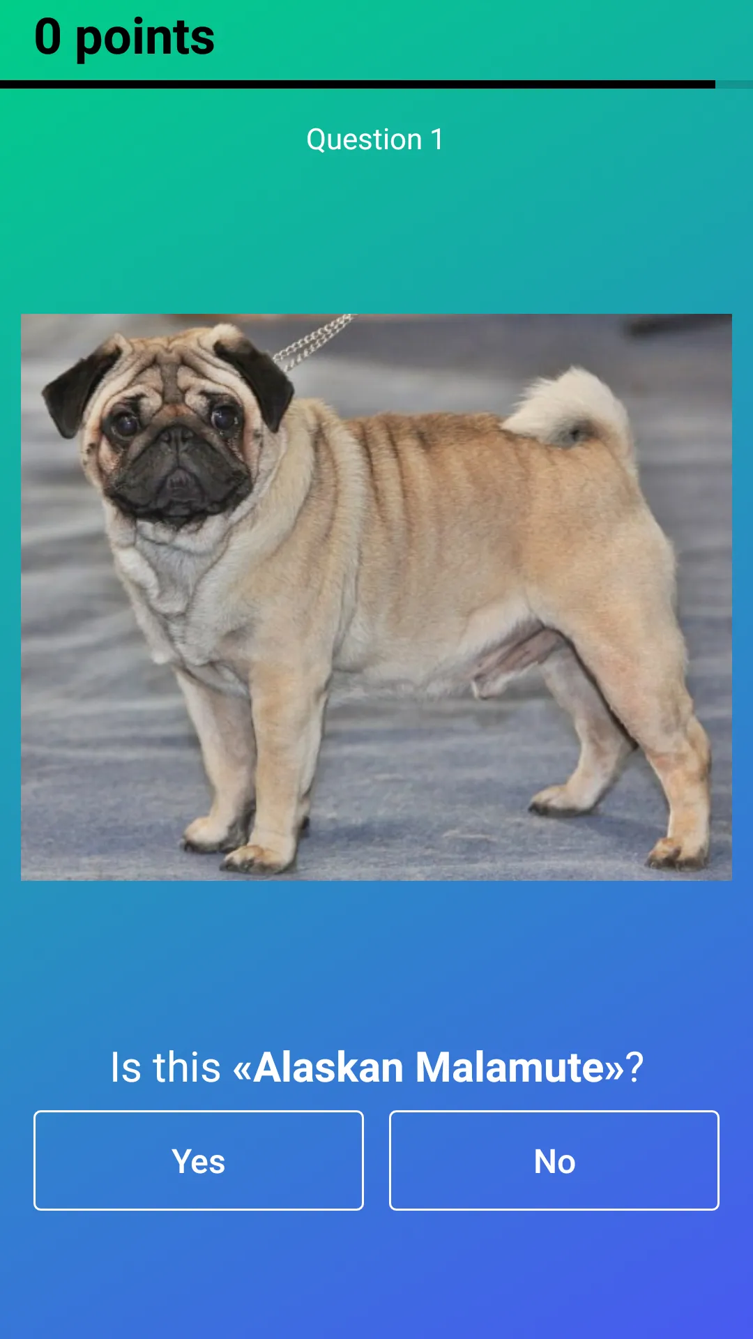 Dog Quiz: Guess the Breed — Ga | Indus Appstore | Screenshot