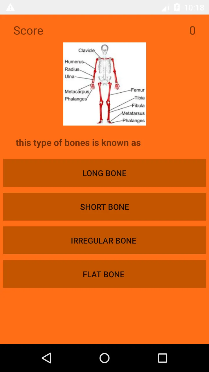 Anatomy Quiz | Indus Appstore | Screenshot