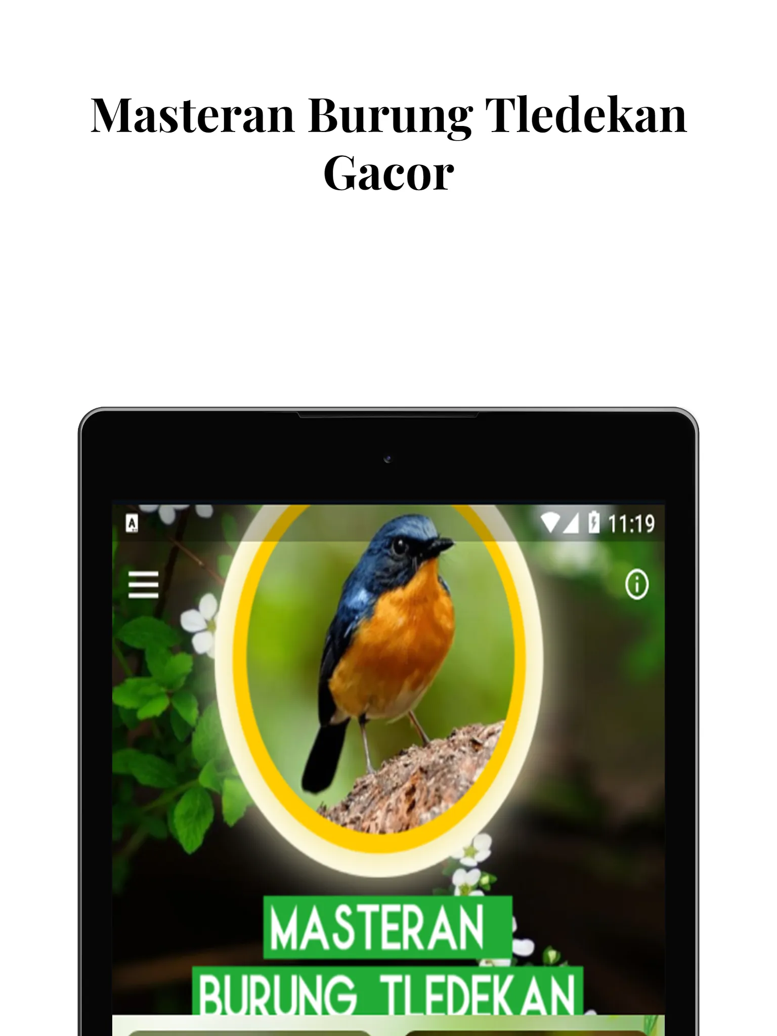 Masteran Burung Tledekan Gacor | Indus Appstore | Screenshot