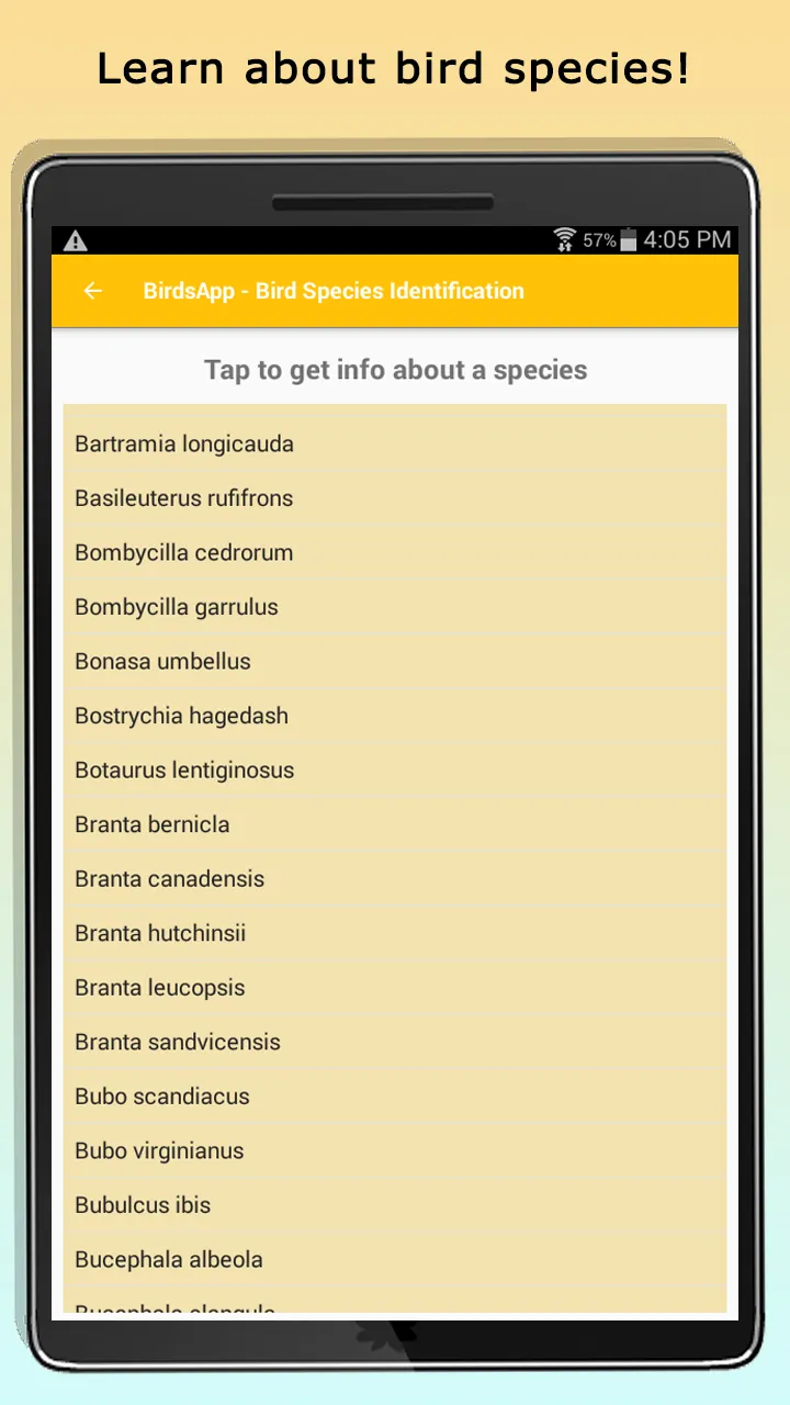 BirdsID - Identify Birds | Indus Appstore | Screenshot