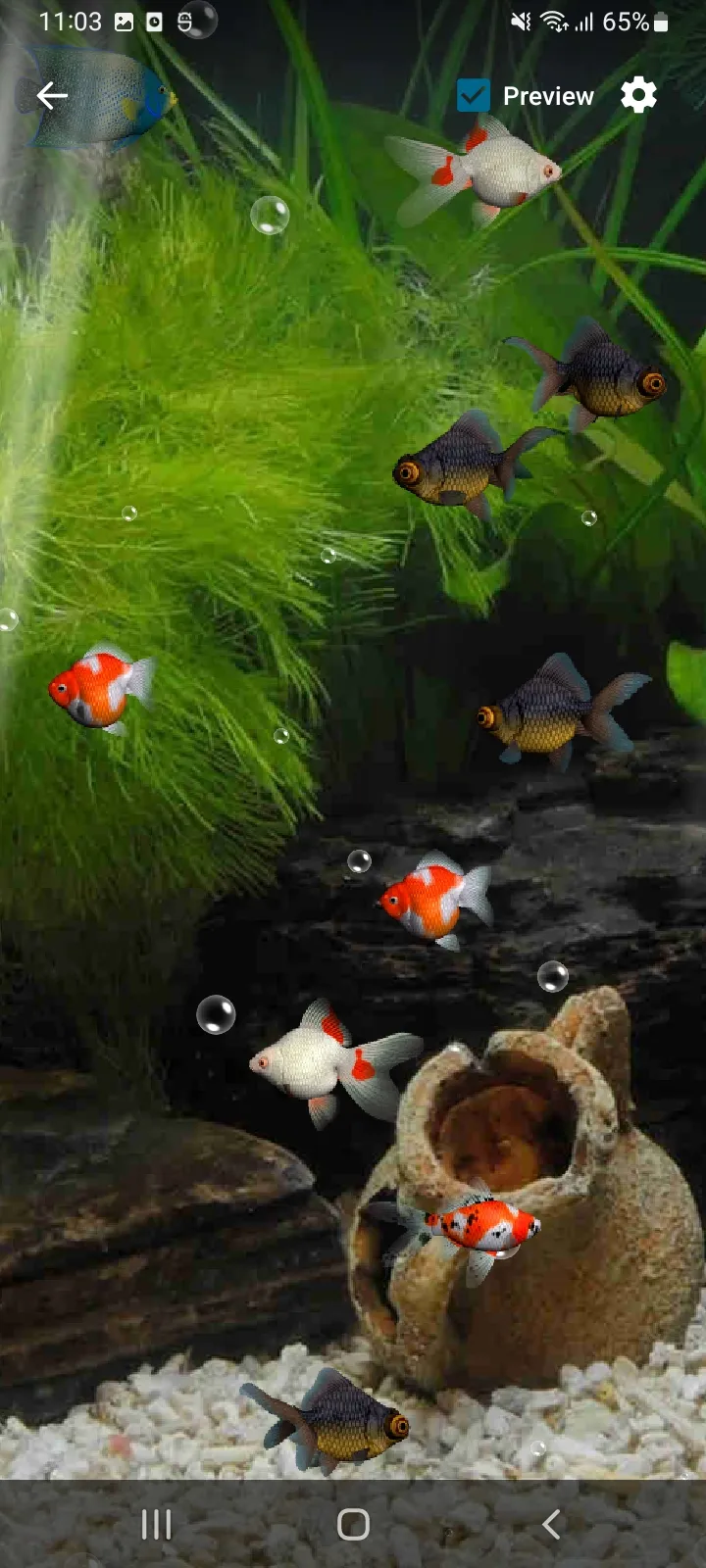 Aquarium Live Wallpaper 3D | Indus Appstore | Screenshot