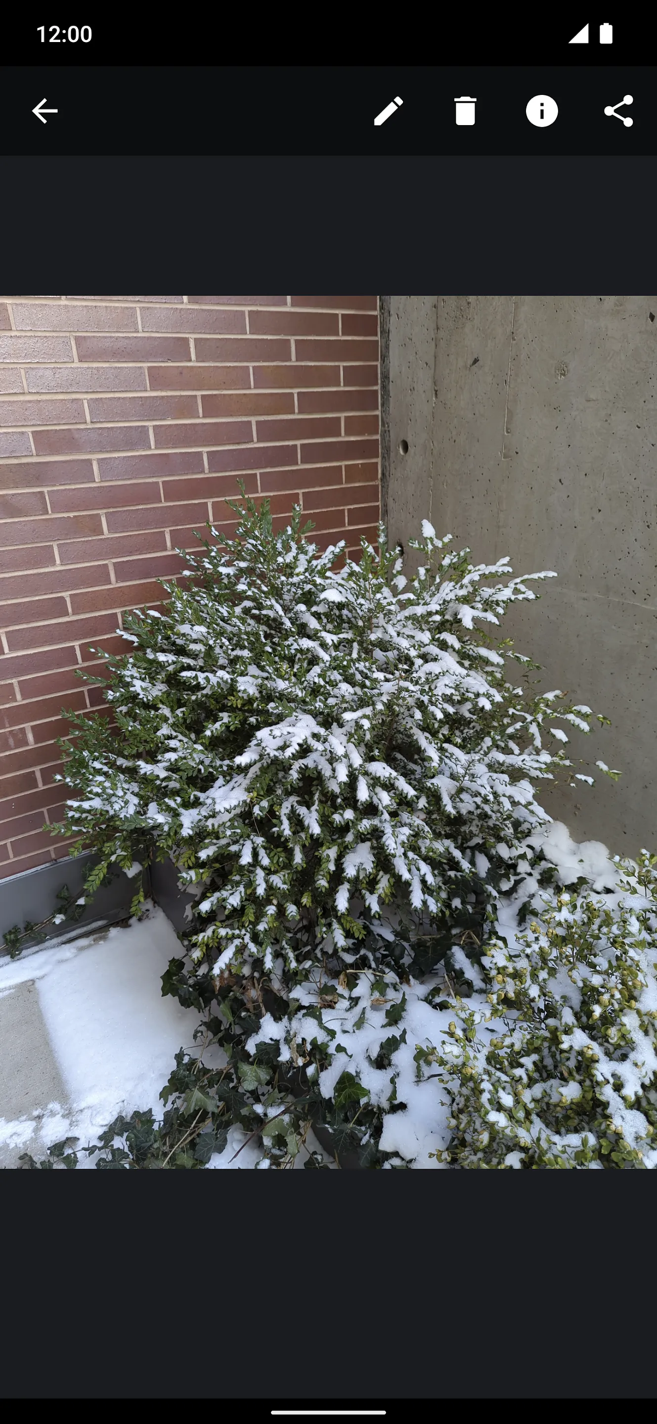 Secure Camera | Indus Appstore | Screenshot