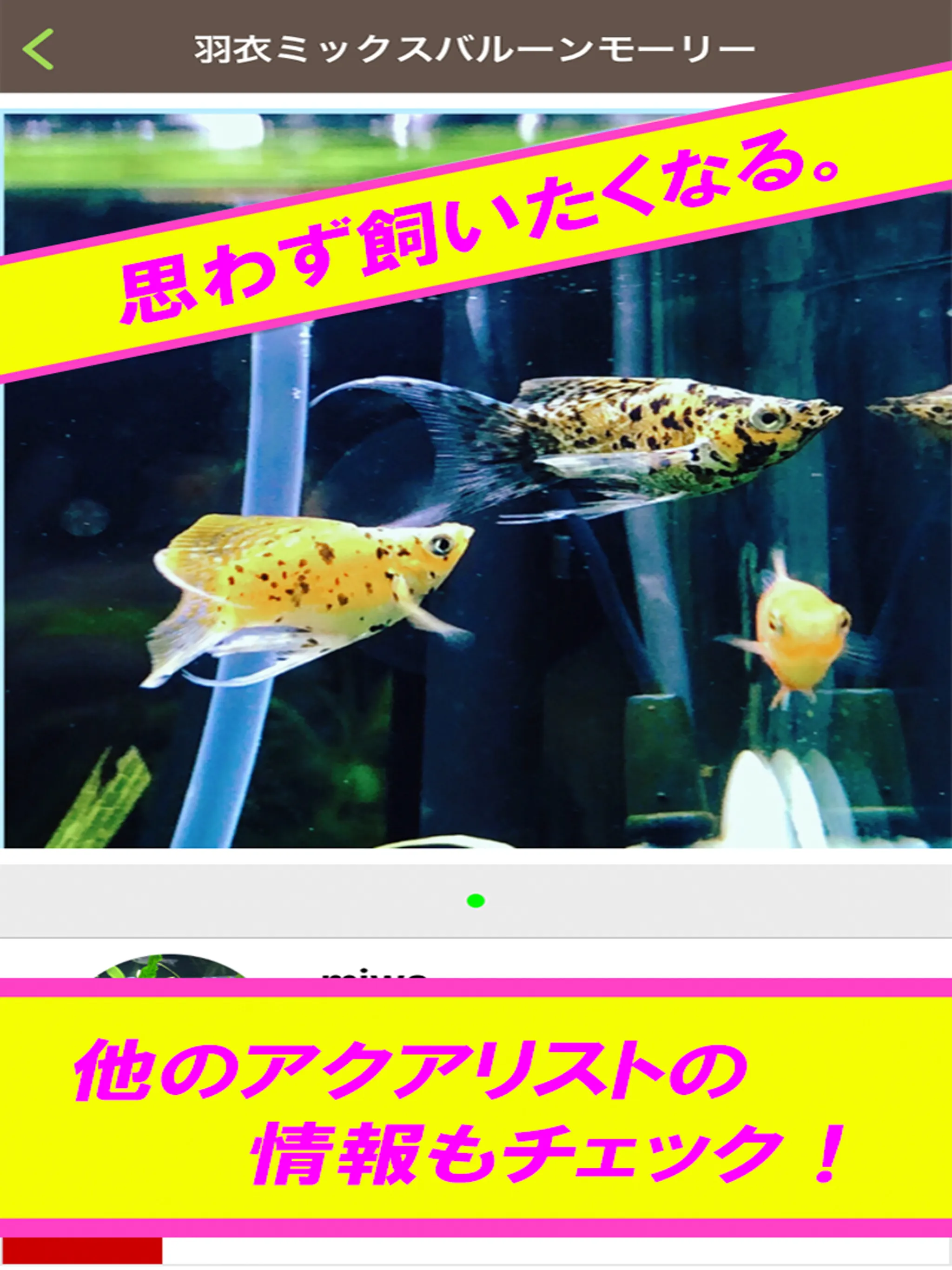 アクアピクス | Indus Appstore | Screenshot