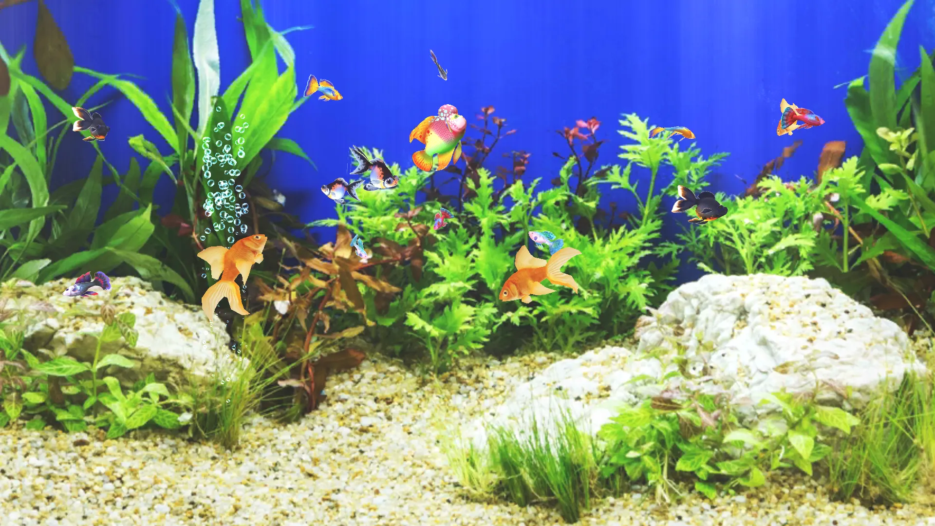 Aquarium Sim | Indus Appstore | Screenshot