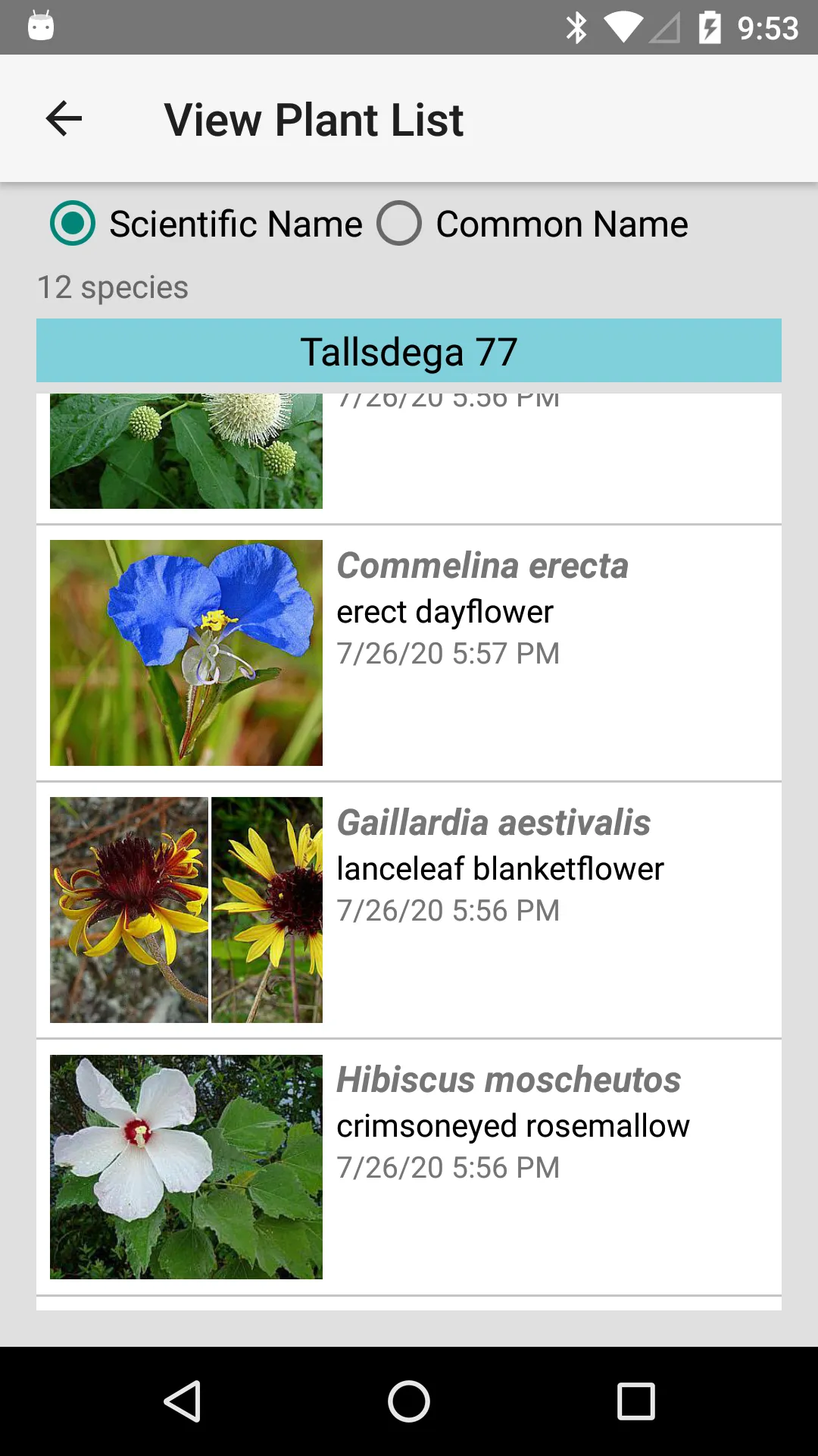 Kansas Wildflowers | Indus Appstore | Screenshot