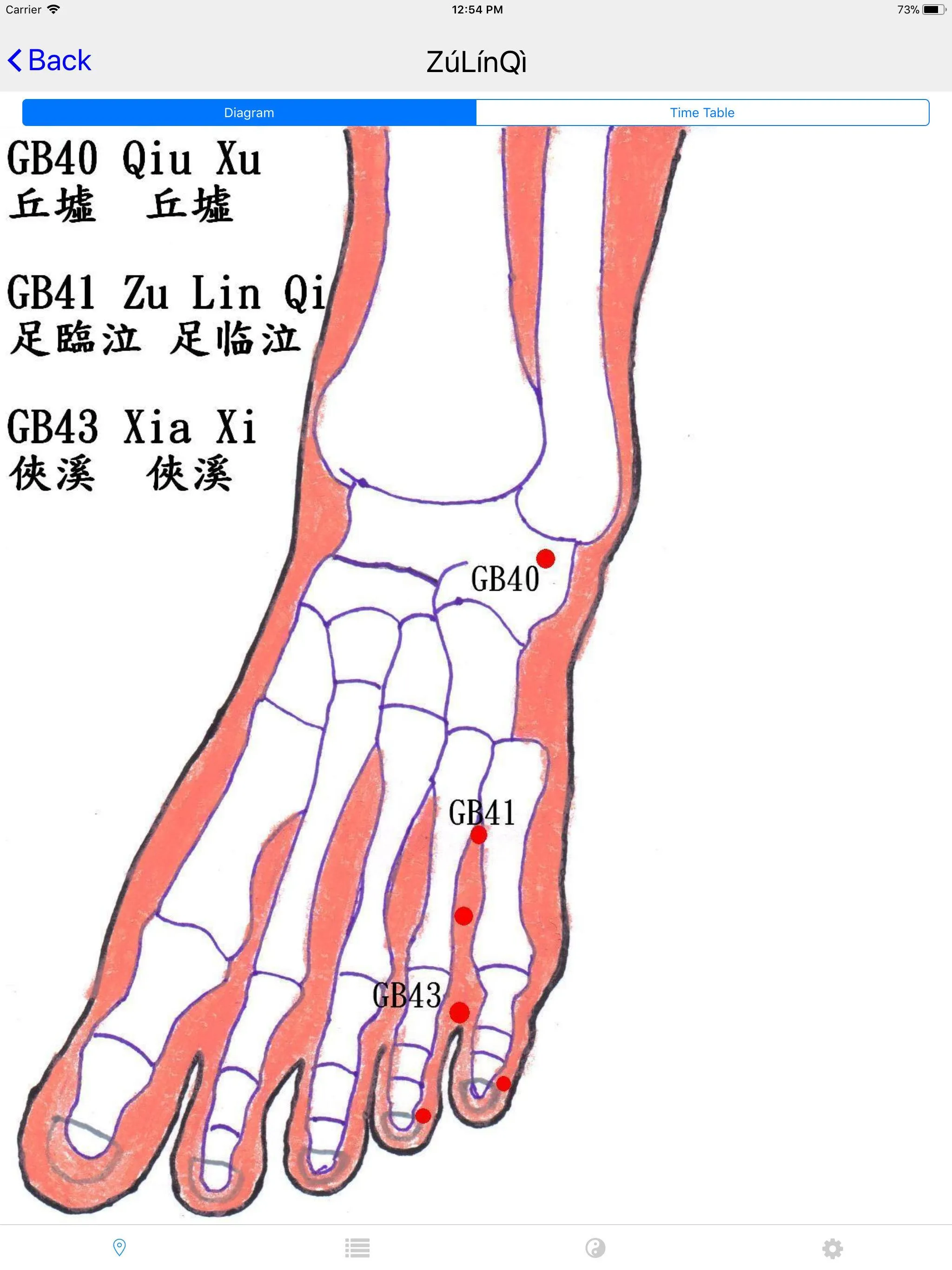 Chrono-Acupuncture | Indus Appstore | Screenshot