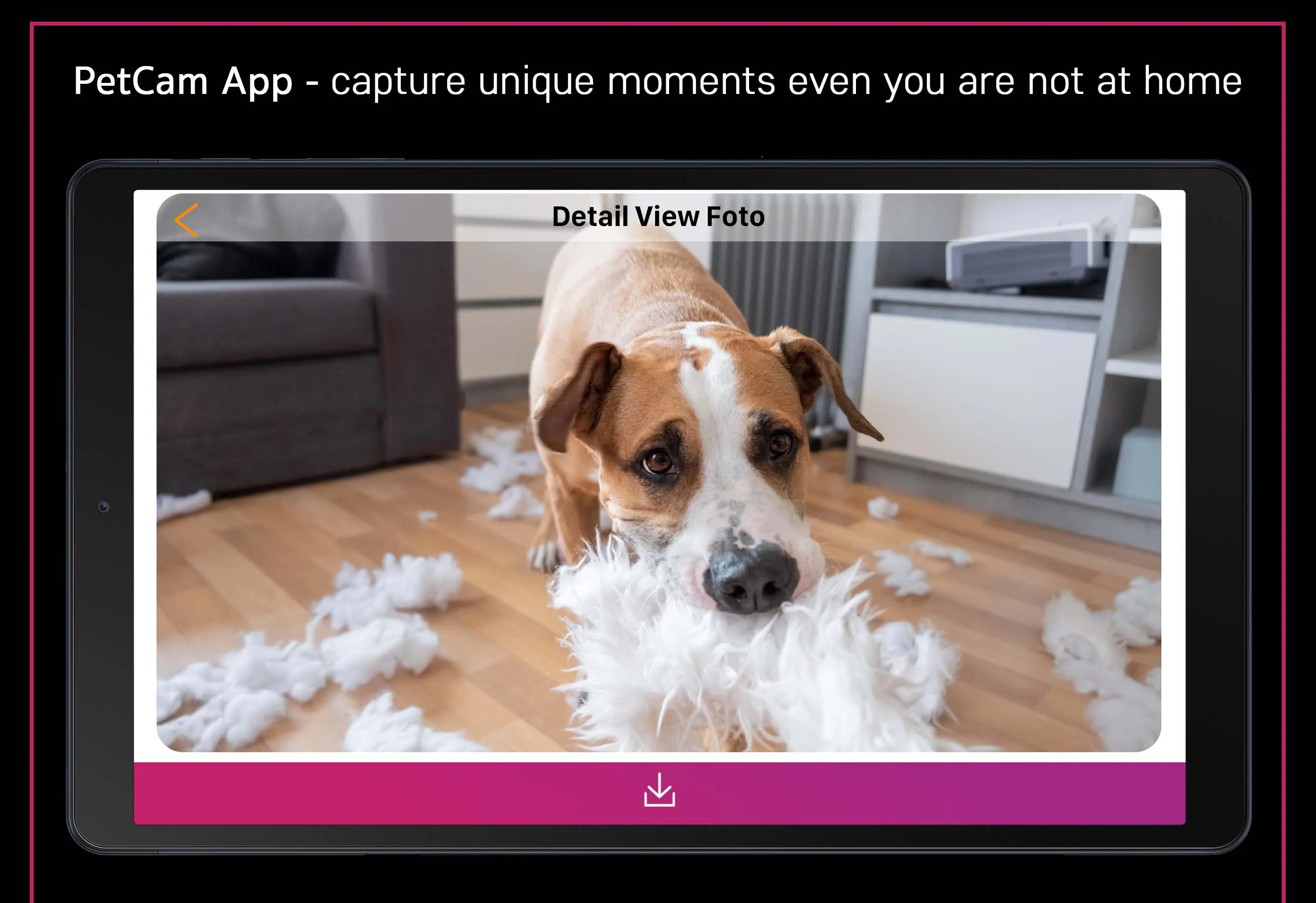 PetCam App - Dog Camera App | Indus Appstore | Screenshot