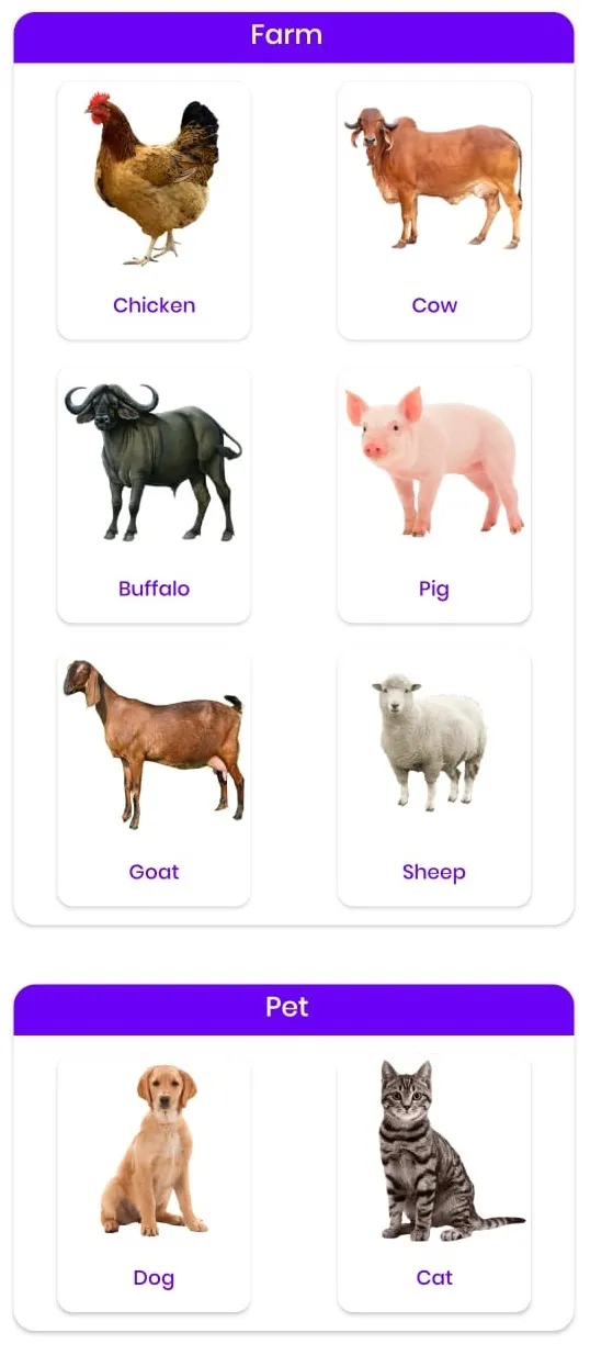 DrPashu - Instant Online Vet | Indus Appstore | Screenshot