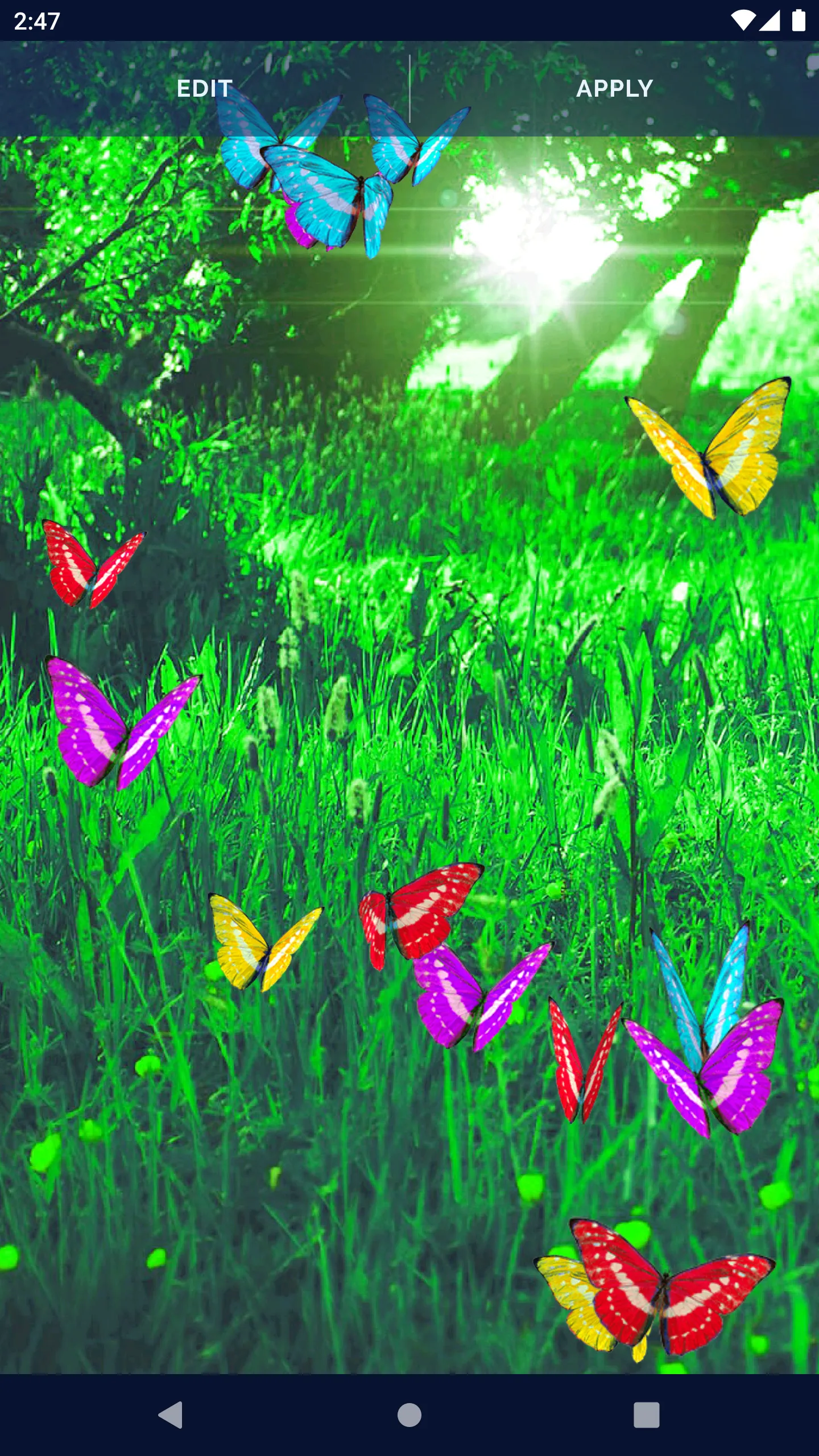 Butterfly Live Wallpaper | Indus Appstore | Screenshot