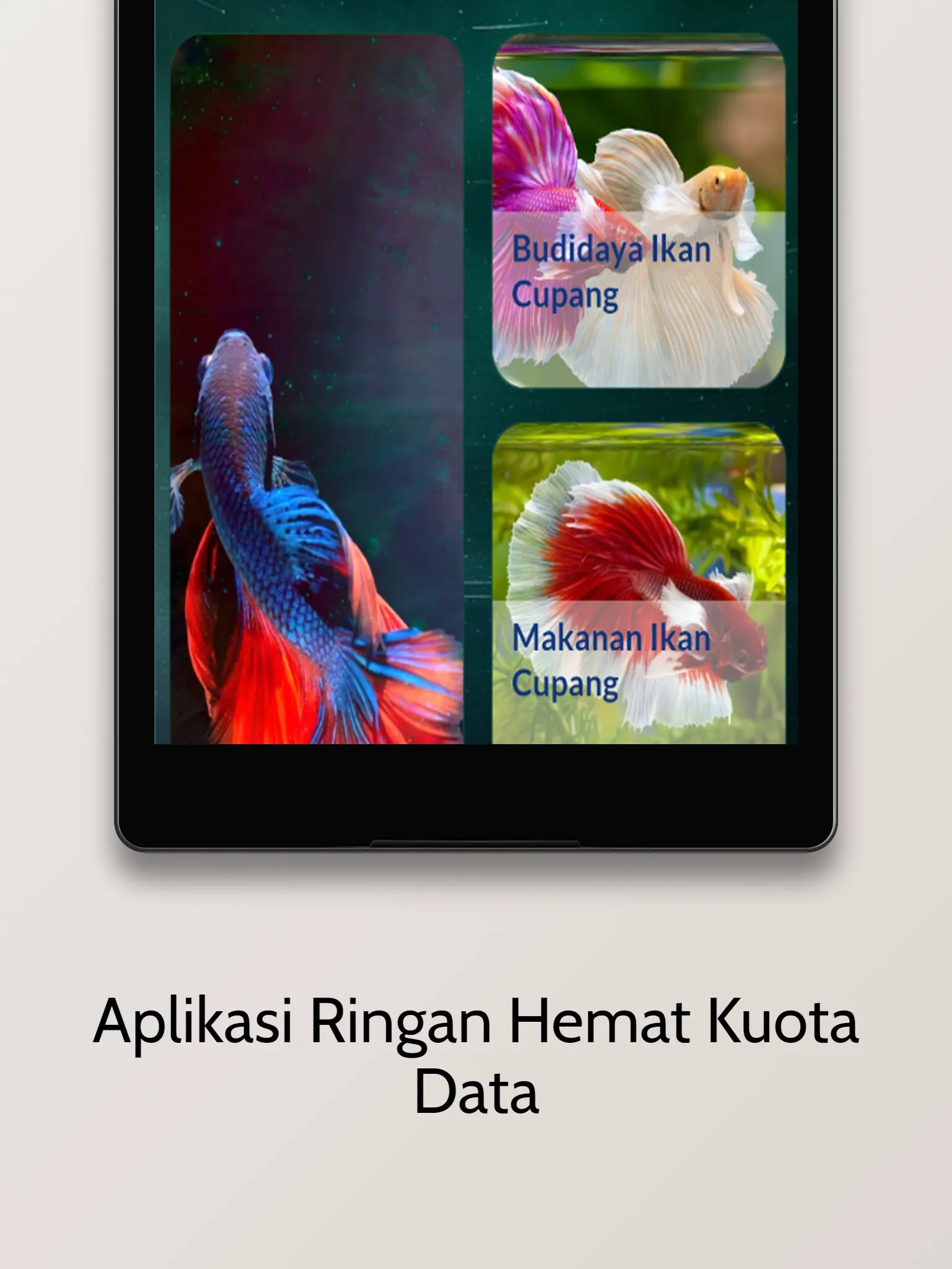 Budidaya Ikan Cupang Hias | Indus Appstore | Screenshot