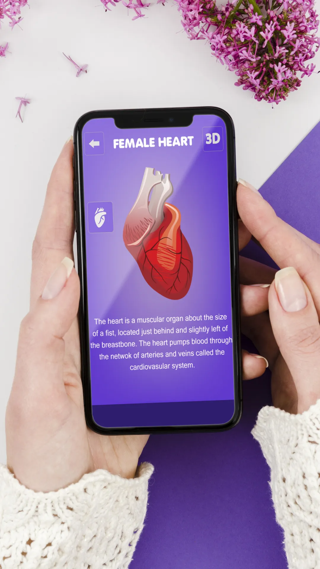 Human Anatomy : Female | Indus Appstore | Screenshot